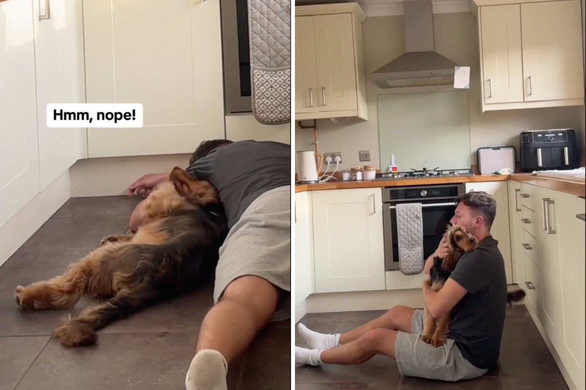 Dog Has Heartbreaking Reaction to Thinking His Owner Is Hurt: 'Help ...
