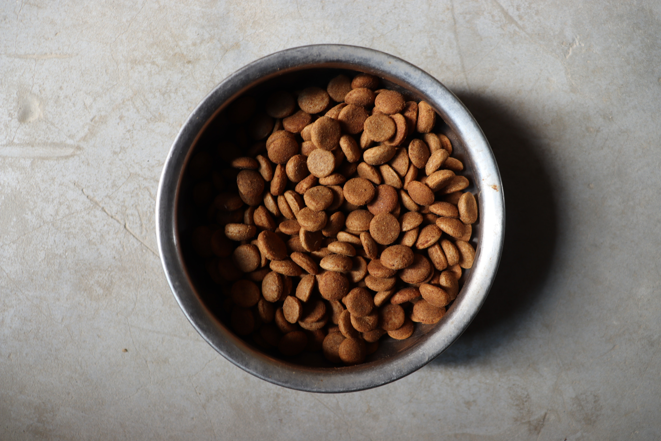 Pet Food Recalled Due to Concerns of Metal Contamination Pet Food Recalled Due to Concerns of Metal Contamination