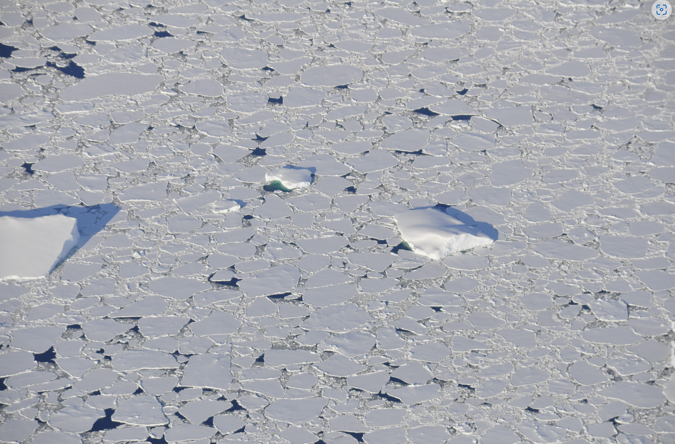 La perte de glace de mer en Antarctique l’année dernière est « surprenante », selon les scientifiques