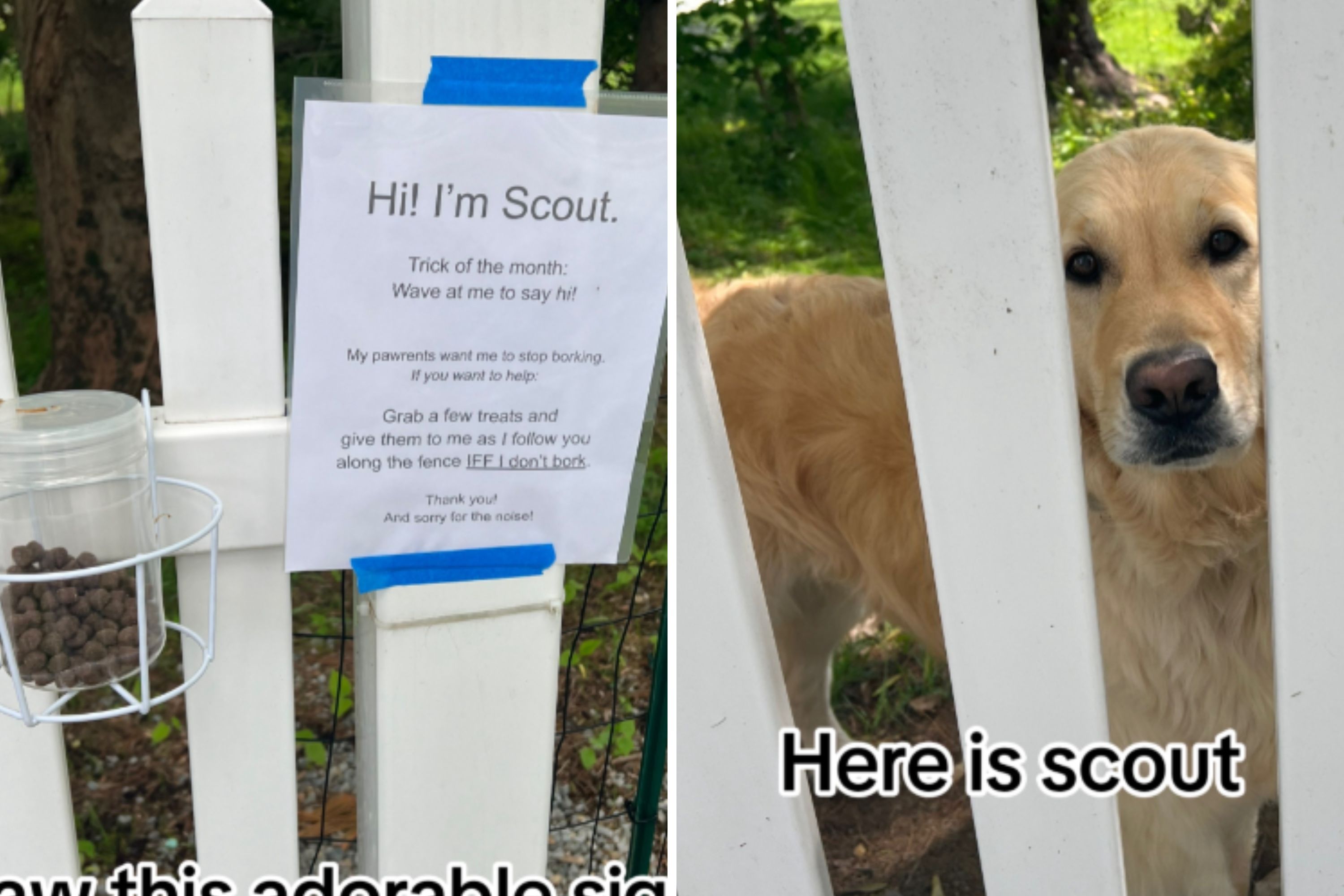 Owners Post Sign Allowing People to Give Dog Treats—But Dog Must Follow One Rule Owners Post Sign Allowing People to Give Dog Treats—But Dog Must Follow One Rule