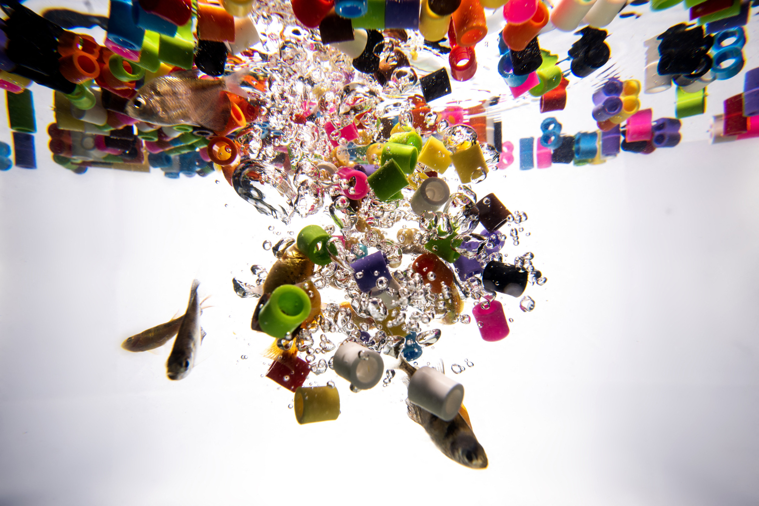 Turning the Tide—How Latinos Hold the Solution to Marine Plastic Pollution - Vimarsana News