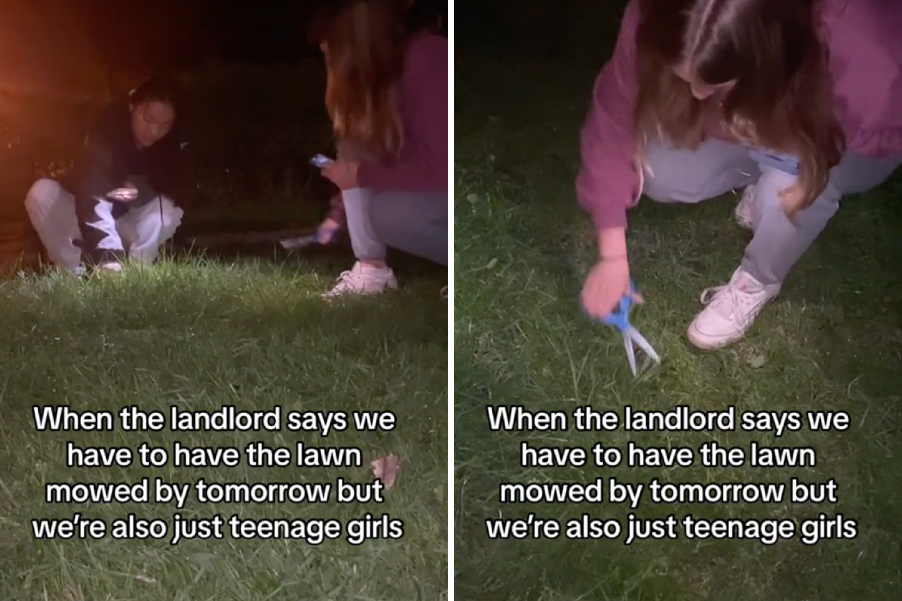 Landlord Demands Tenants Must Mow Lawn, Take Matters Into Their Own Hands