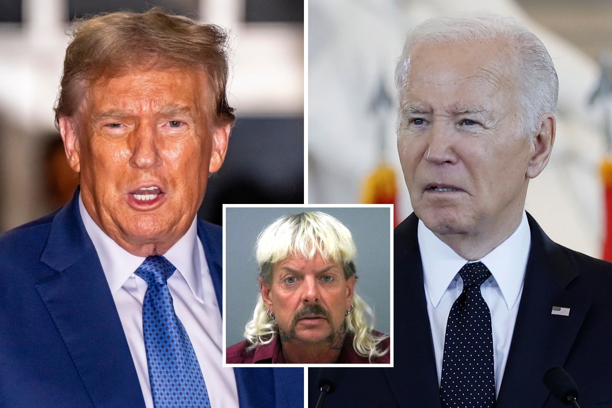 Donald Trump, Joe Biden, Joe Exotic