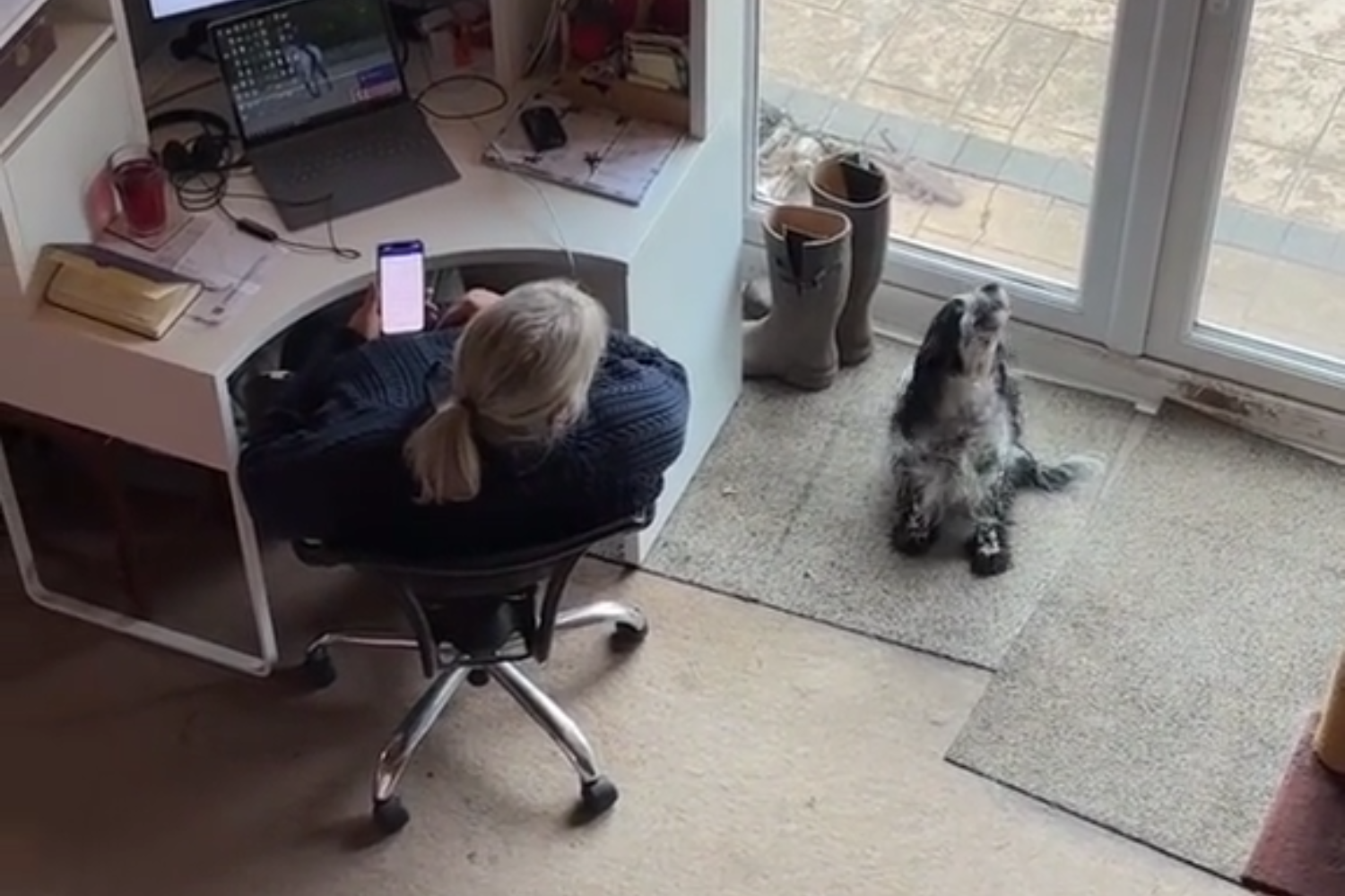 Dog Who Helps Owner Pick Lottery Tickets Delights Internet: 'Did You Win?' - Vimarsana News