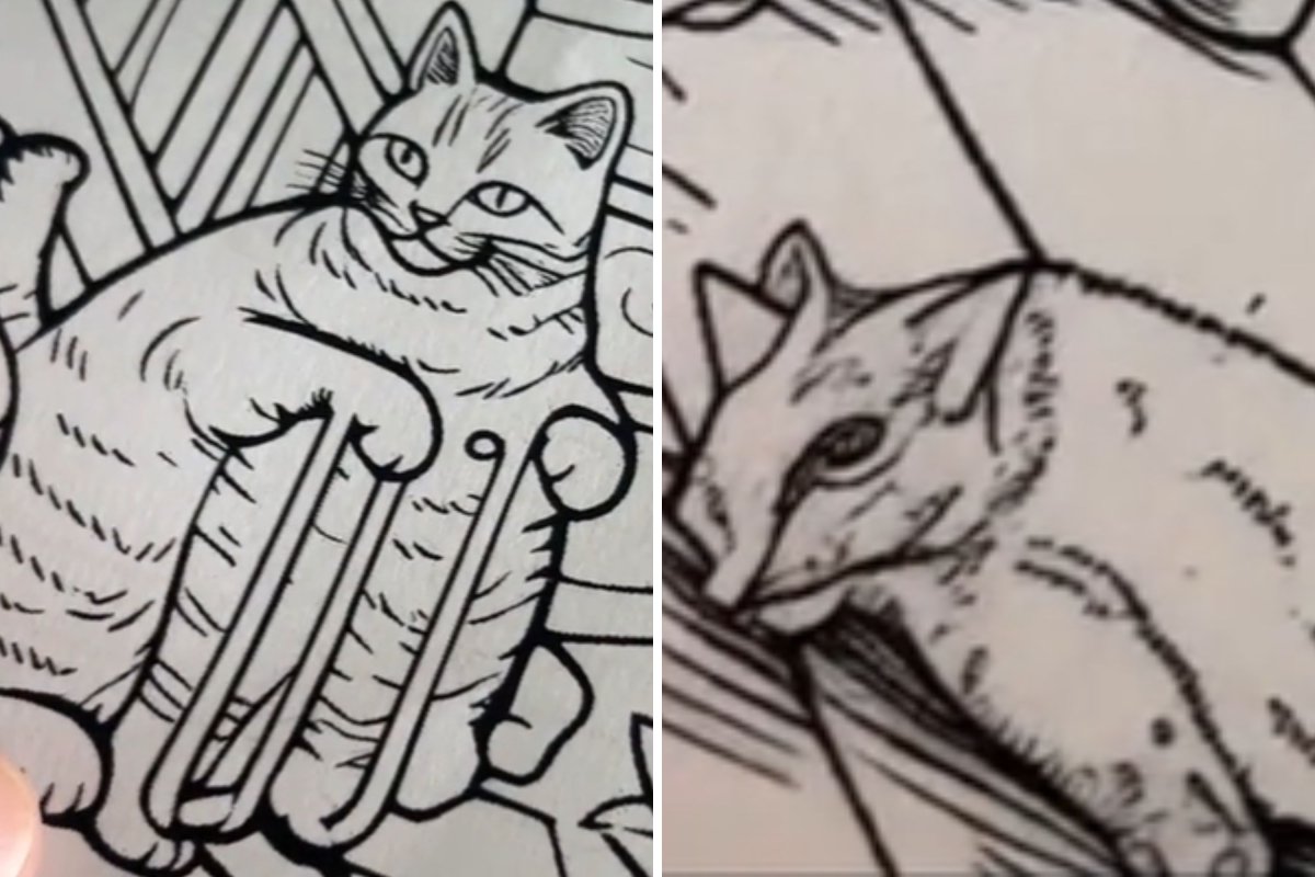 Cat AI coloring book