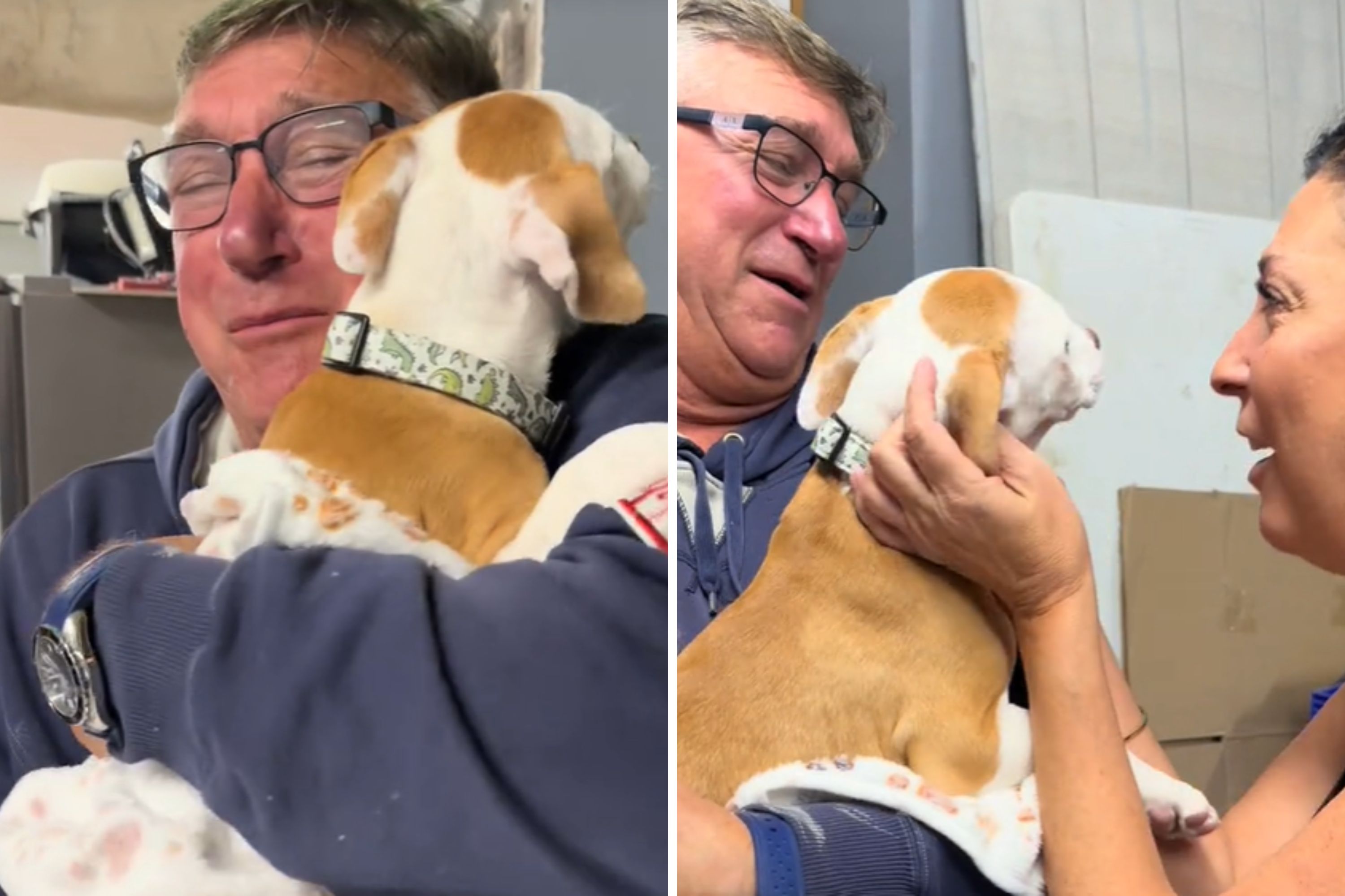 Watch Family's Tearful Reaction to Meeting Puppy After Death of Senior ...