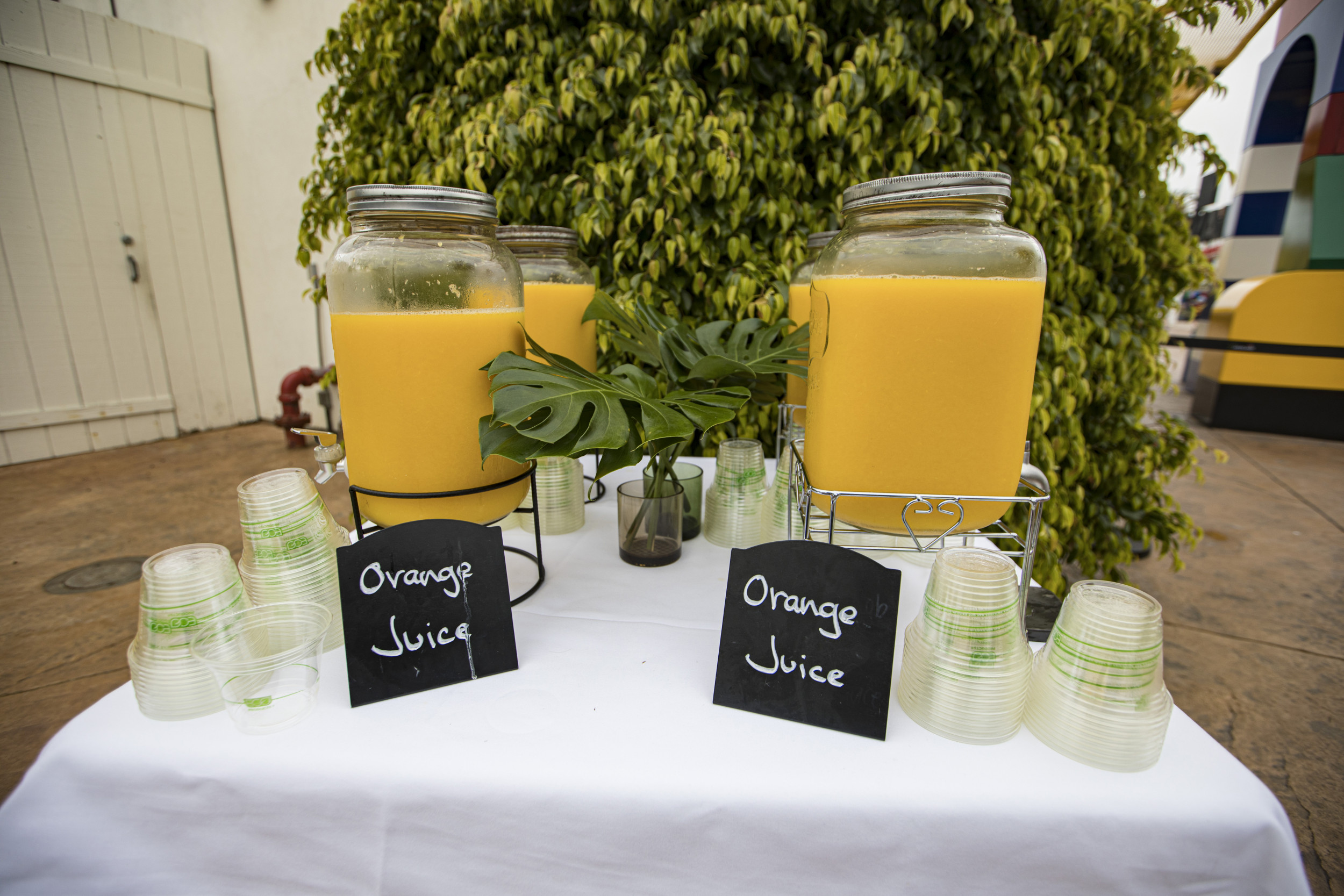 Companies May Stop Using Oranges to Make Orange Juice as Costs Skyrocket Companies May Stop Using Oranges to Make Orange Juice as Costs Skyrocket