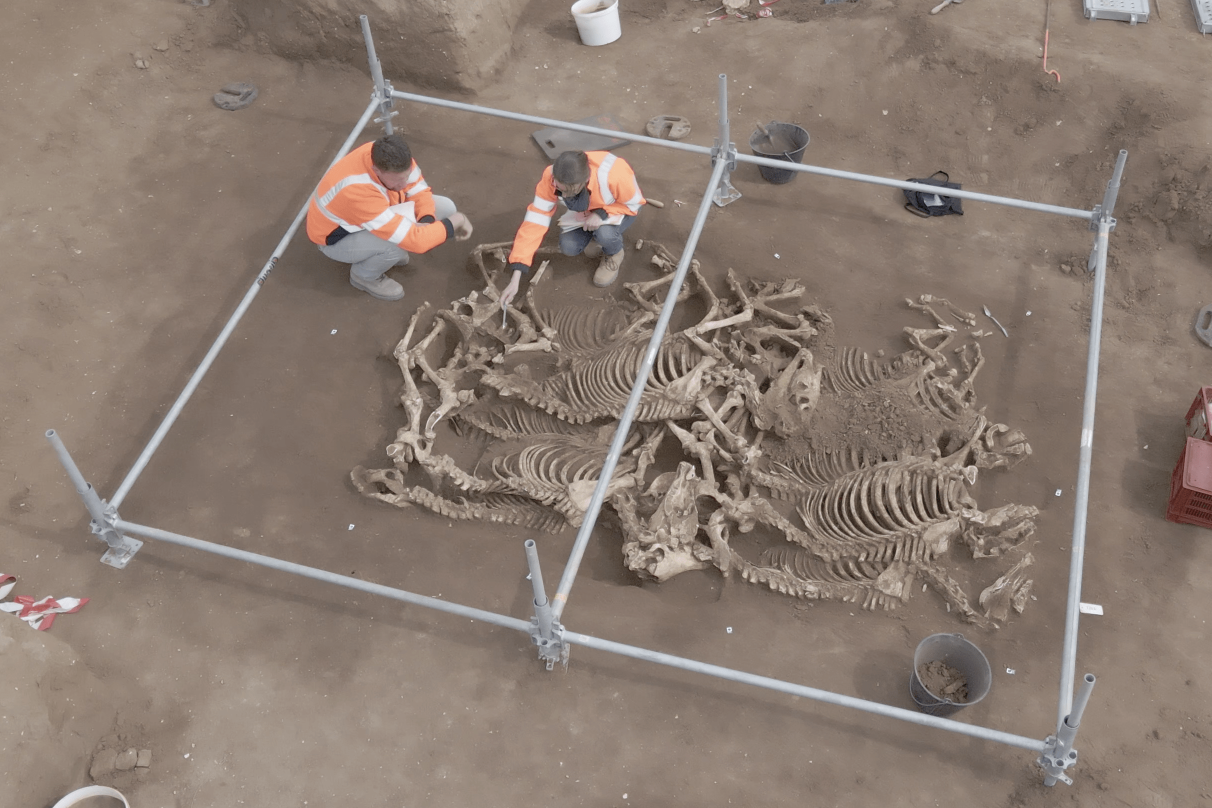 Des archéologues découvrent des sépultures de chevaux « étonnantes » datant d’il y a 2 000 ans