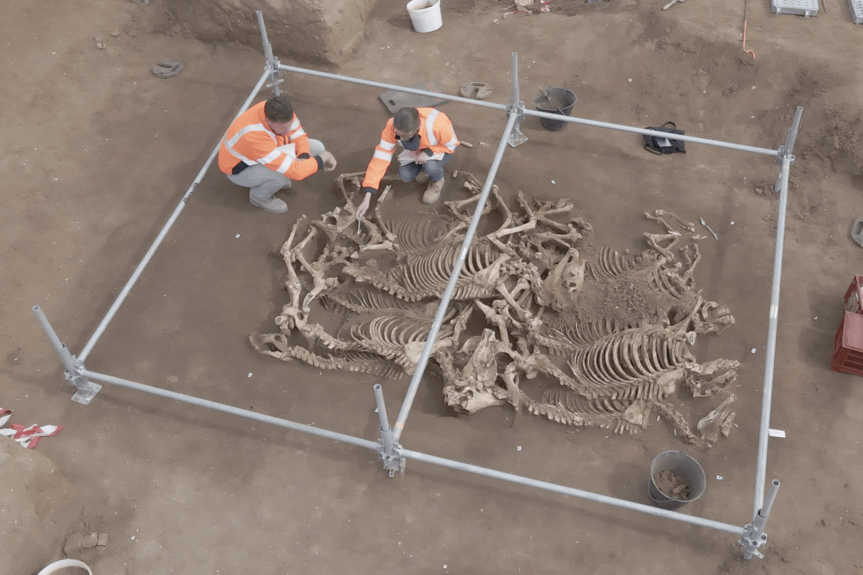 Archaeologists Uncover 'Astonishing' Horse Burials From 2,000 Years Ago ...