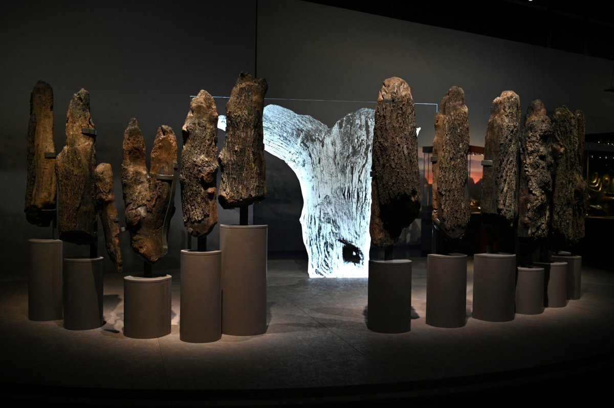 The prehistoric Seahenge monument on display