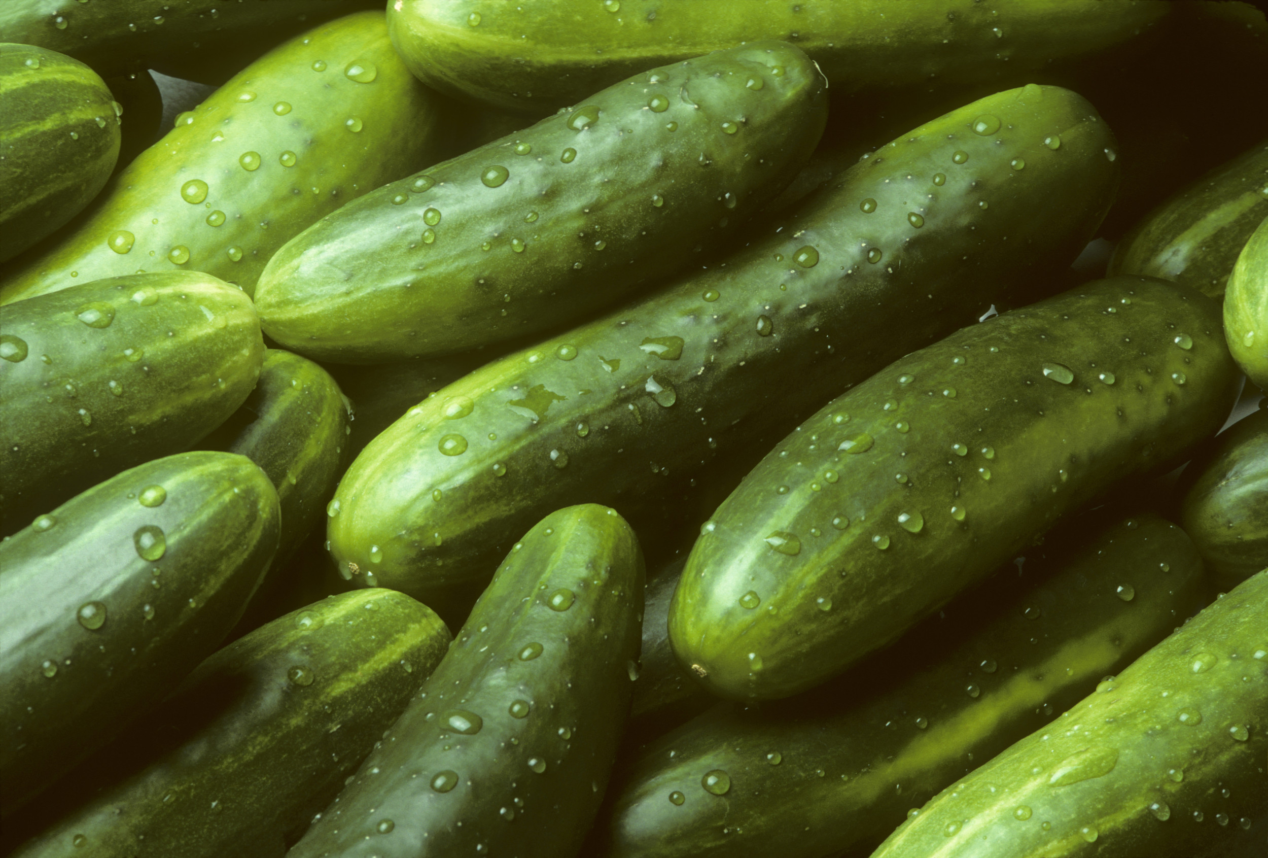 Cucumber Recall in 14 States As Warning Issued to Customers Newsweek