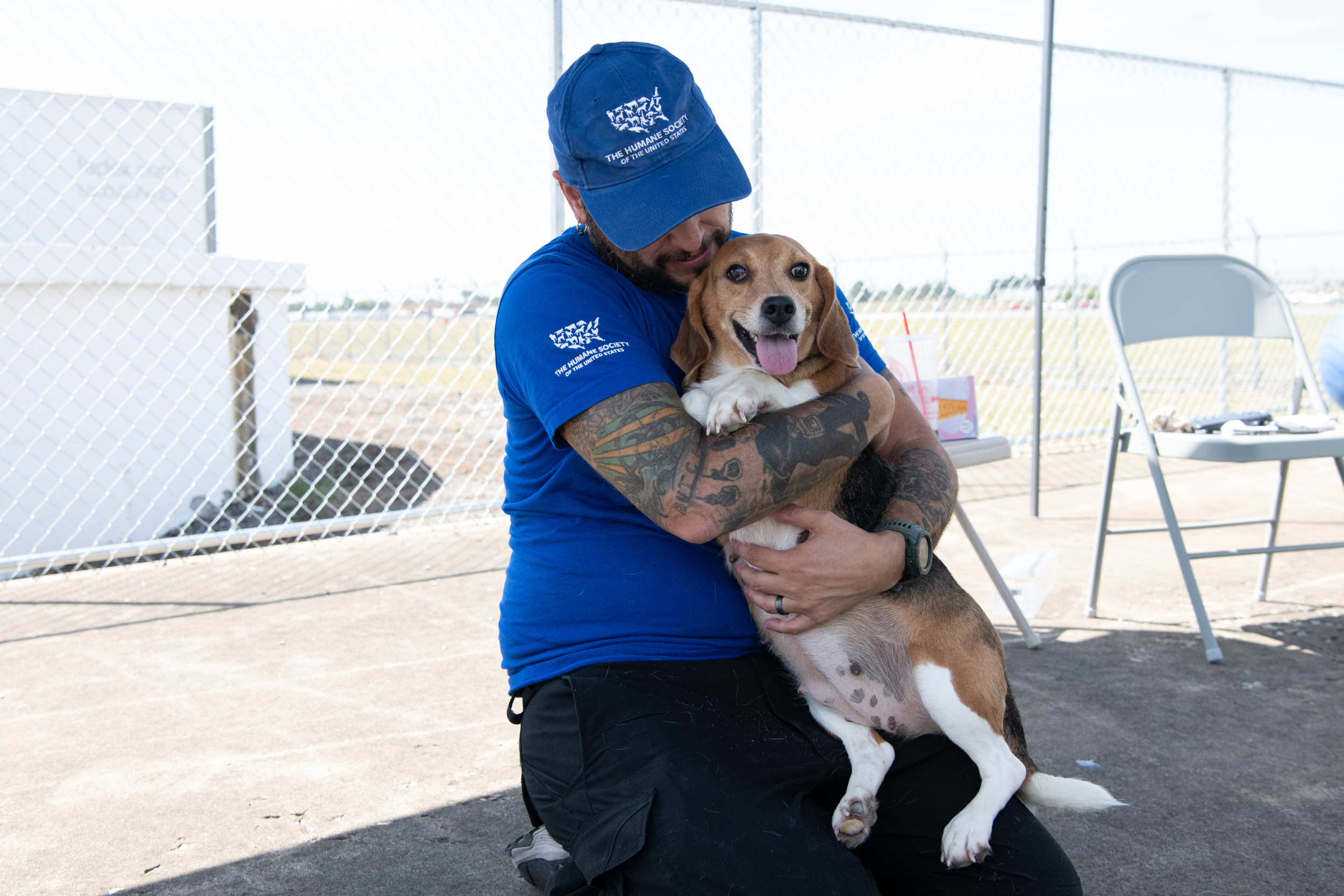 Dog Breeder Fined $35 Million For Animal Cruelty As 4,000 Beagles Saved ...