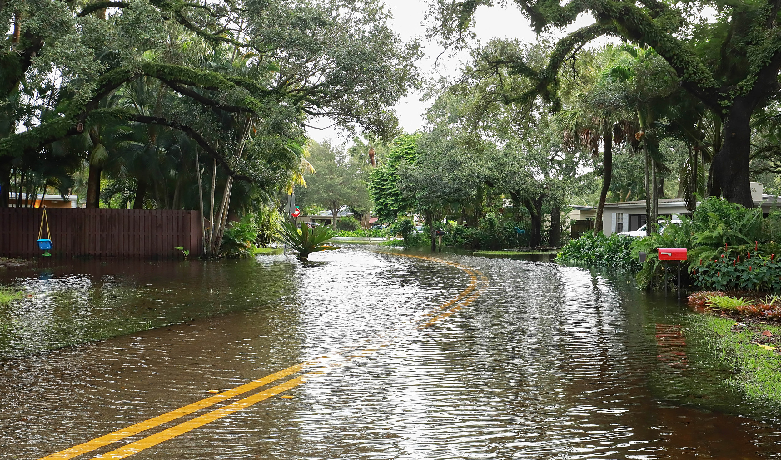 Florida City Could Receive More Than Double Monthly Rainfall in 5 Days ...