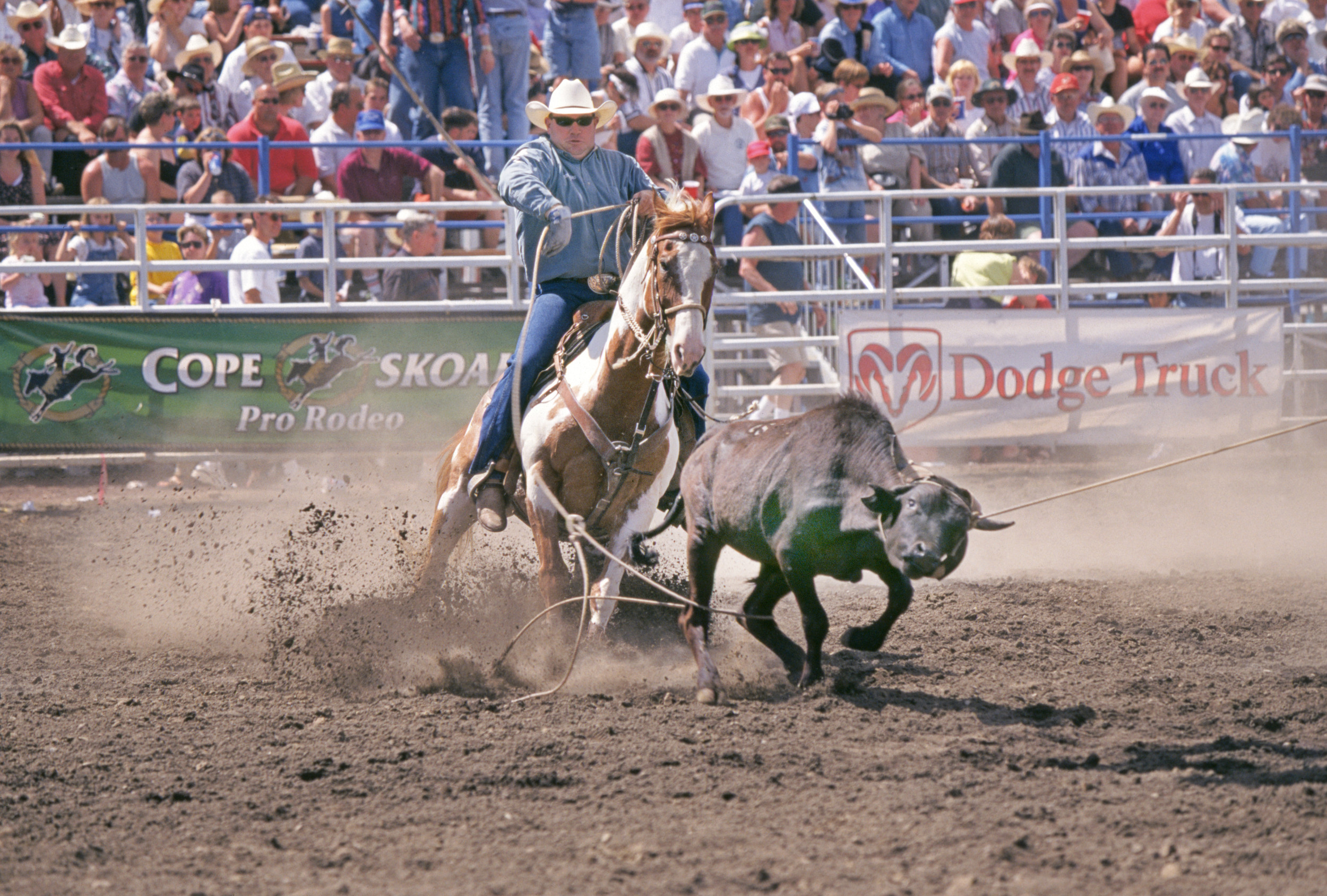 Video Shows Bull Charge Into Rodeo Spectators, Leaving Multiple Injured