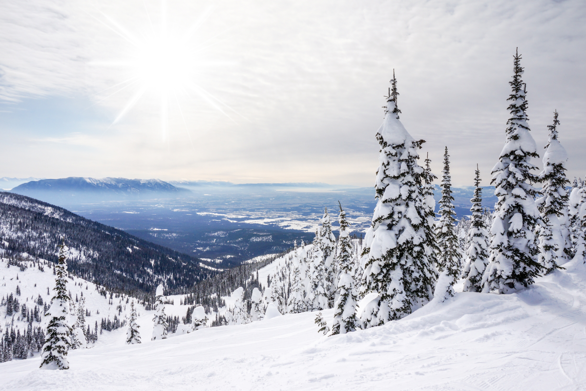 Winter Storm Warning One State 12 Inches