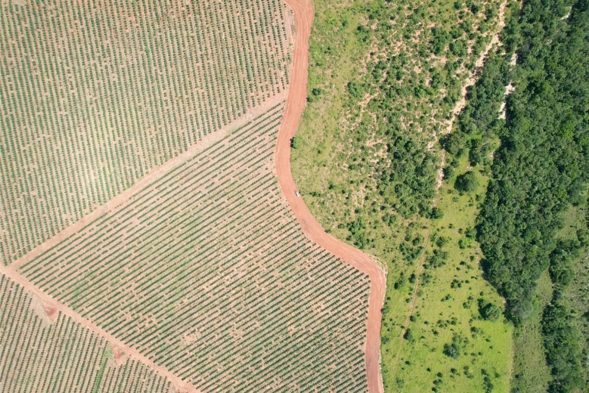 Microsoft BTG Agreement Forestry Brazil