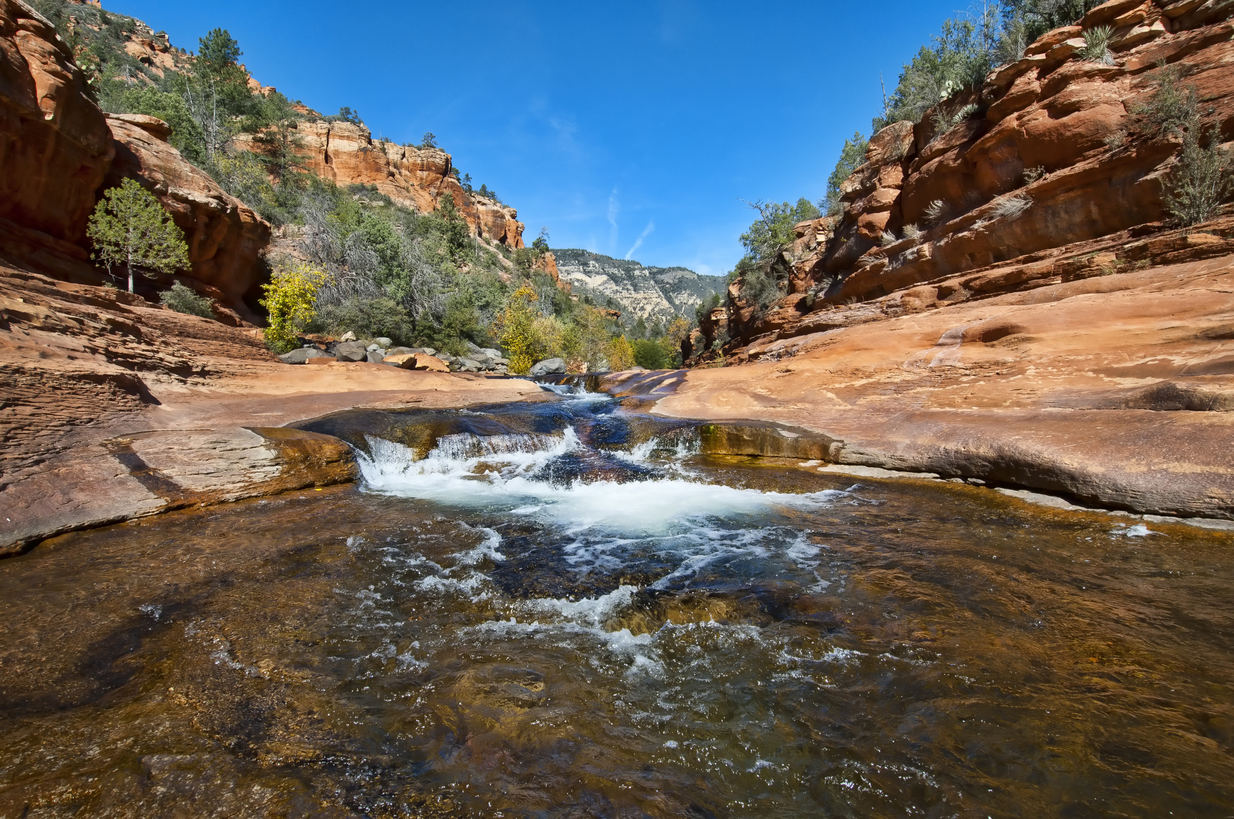 Arizona's 'Surprising' Source of Winter Water Revealed - Newsweek