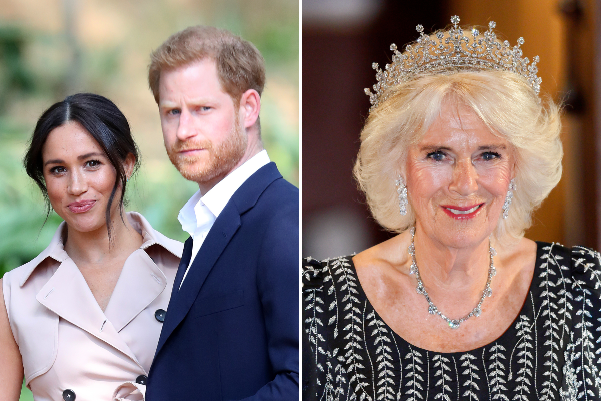How Harry and Meghan's Matchmaker Has Key Link to Queen Camilla - Newsweek