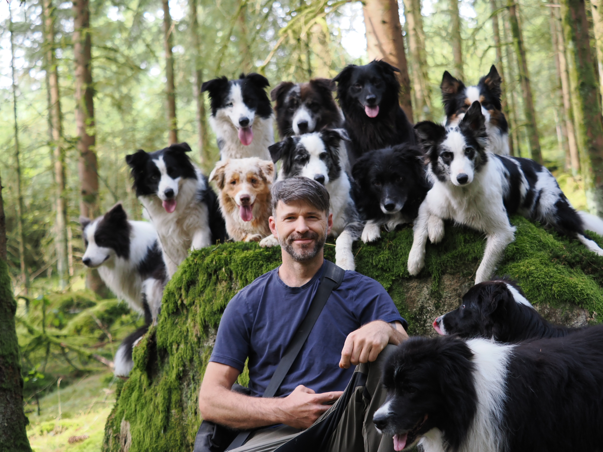 Man Ends Up With 13 Pet Border Collies As He 'Keeps Falling in Love