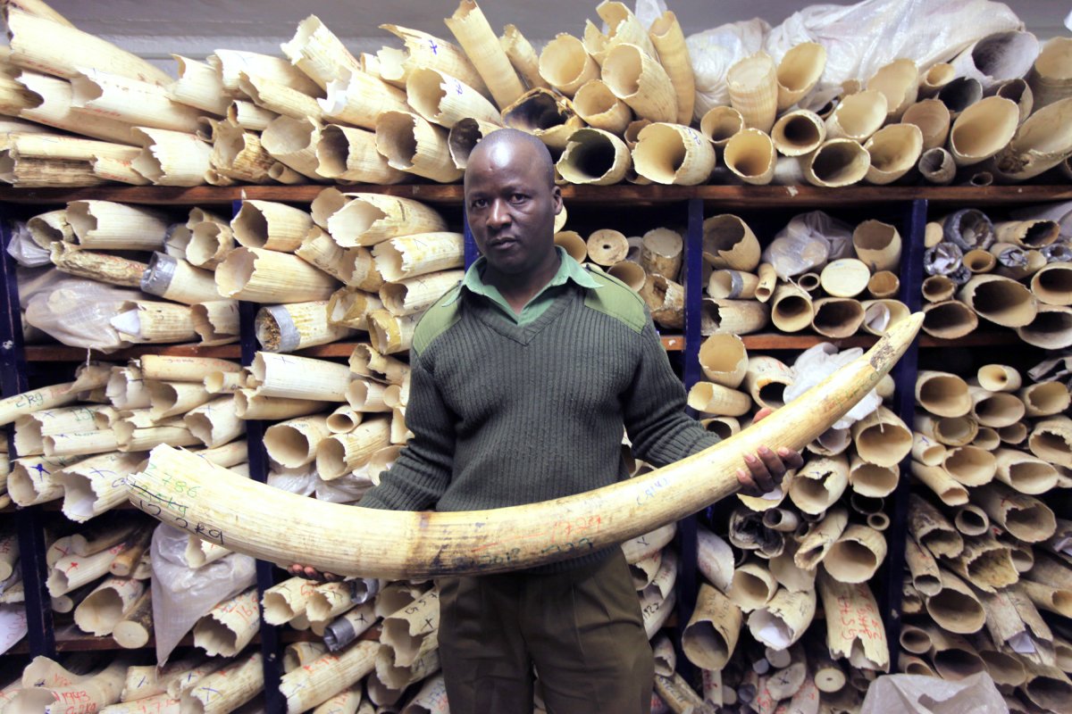 Ivory remains a commodity in Zimbabwe