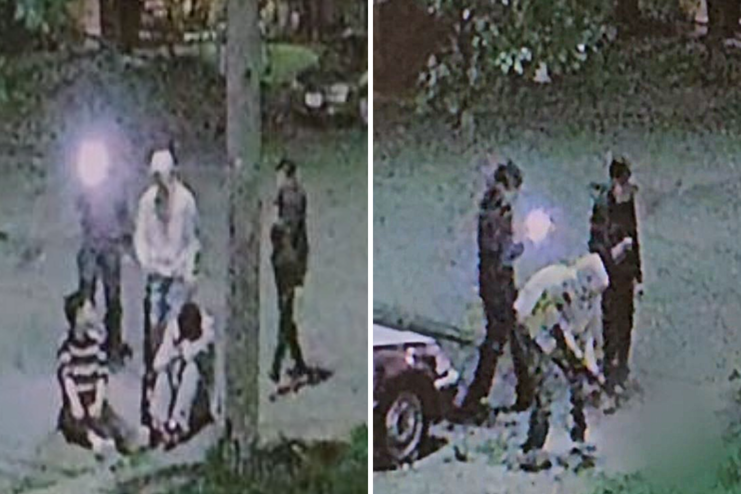 Salem Cat Killer: 4th Suspect Arrested