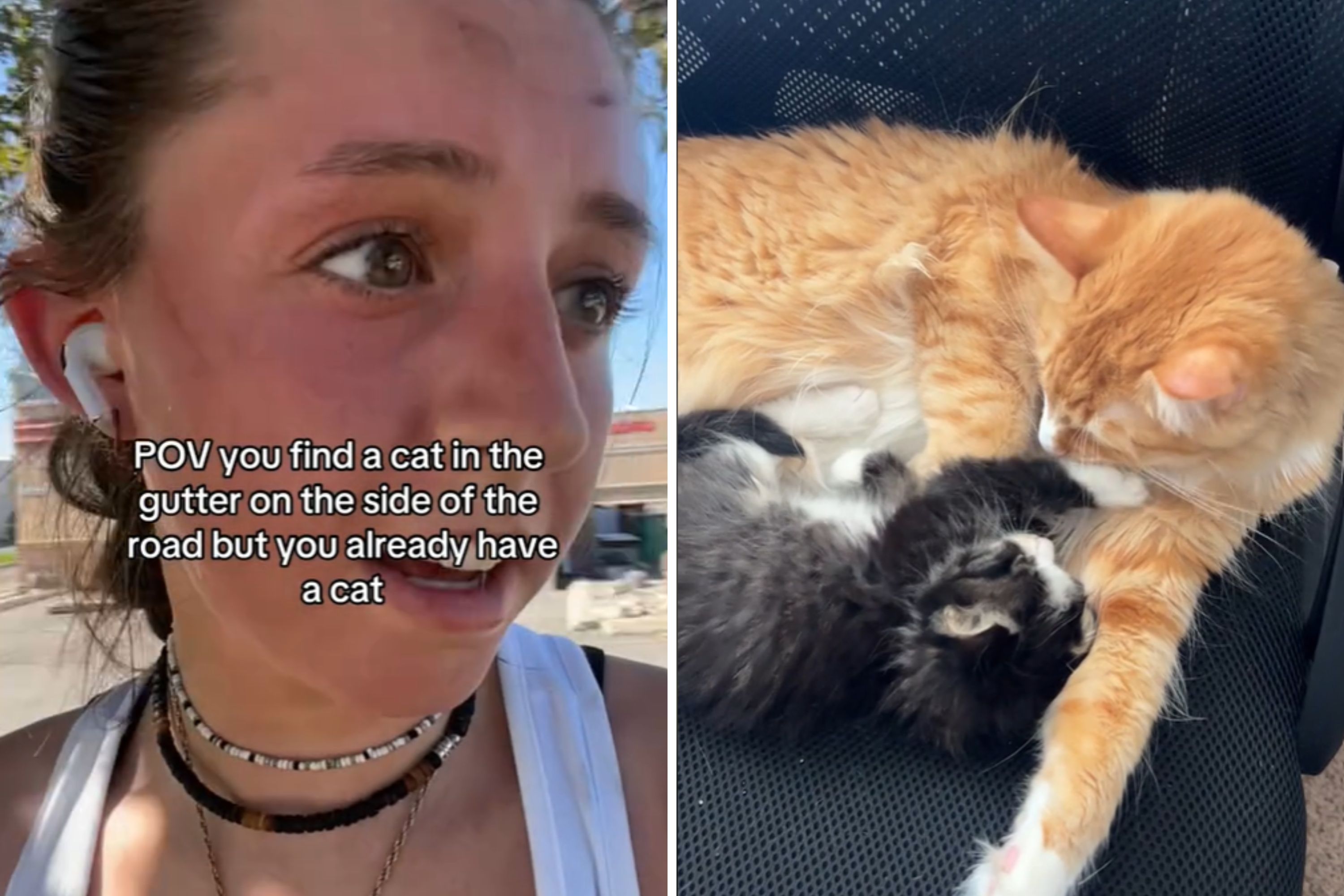 Couple Rescue Kitten From the Gutter&mdash;Then Realize Why They Have to Keep Him