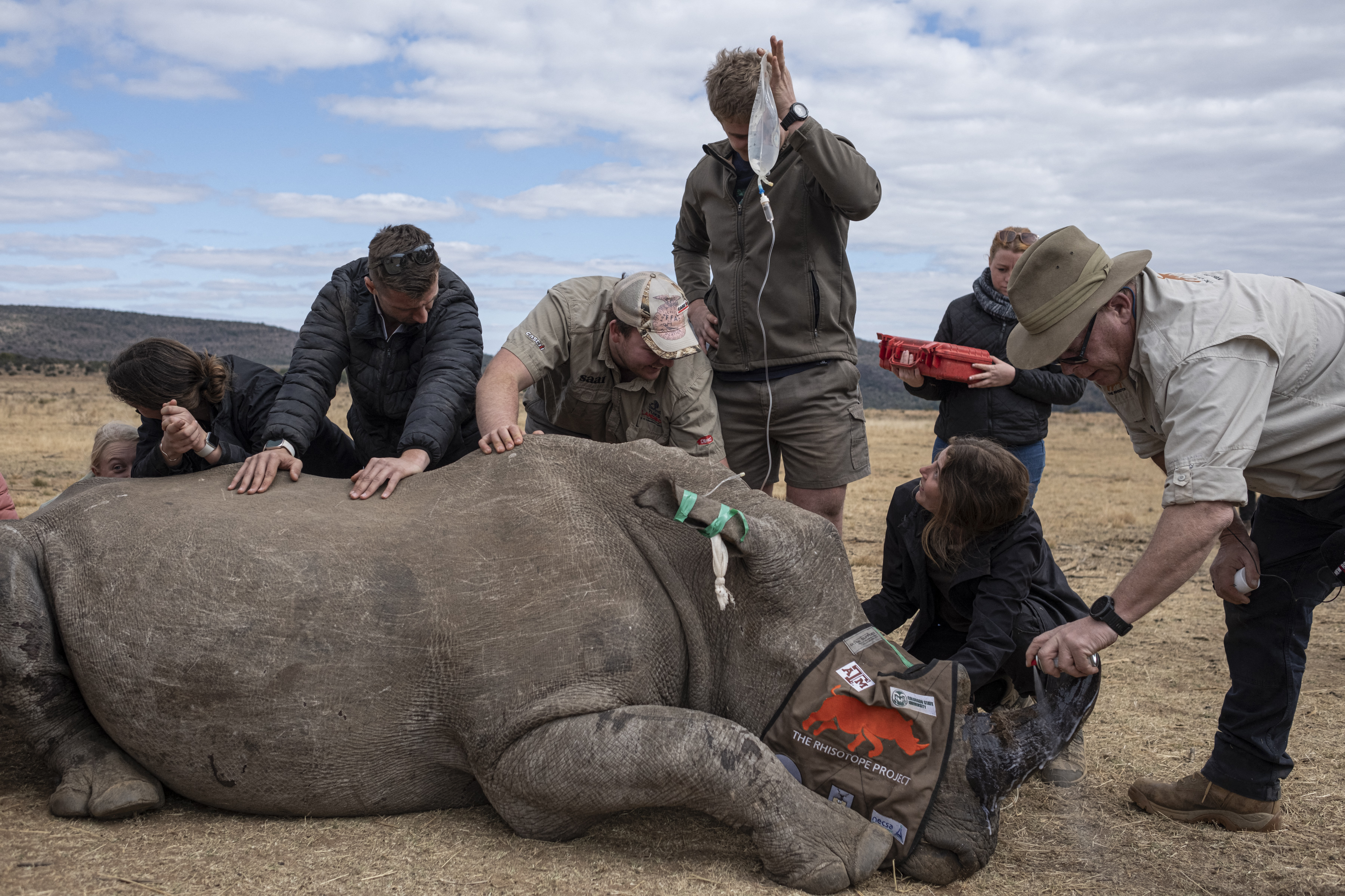 La technologie nucléaire s’attaque au braconnage des rhinocéros