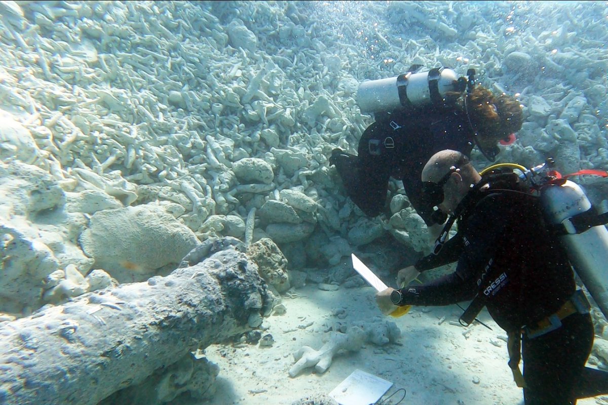 An iron cannon found off the Bahamas