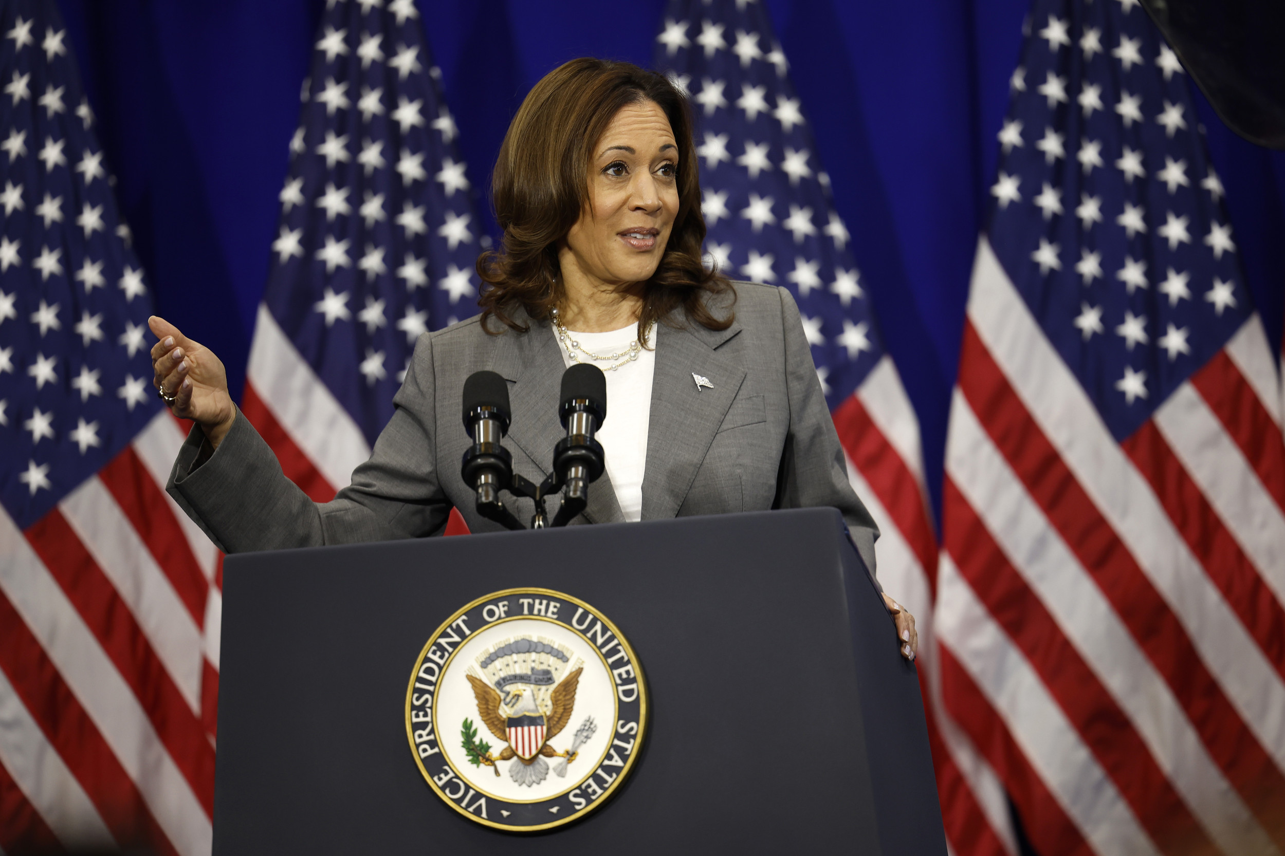 Democrats Have a Kamala Harris Problem if Biden Drops Out