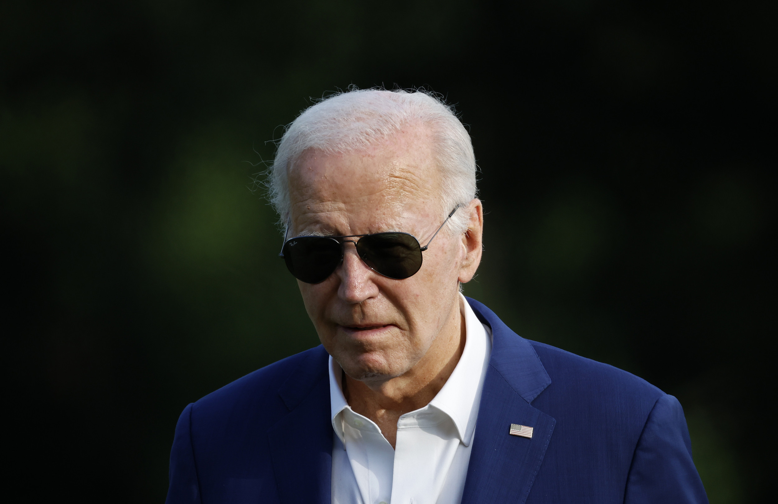 What Is Blue MAGA Joe Biden s Vocally Online Defenders Newsweek