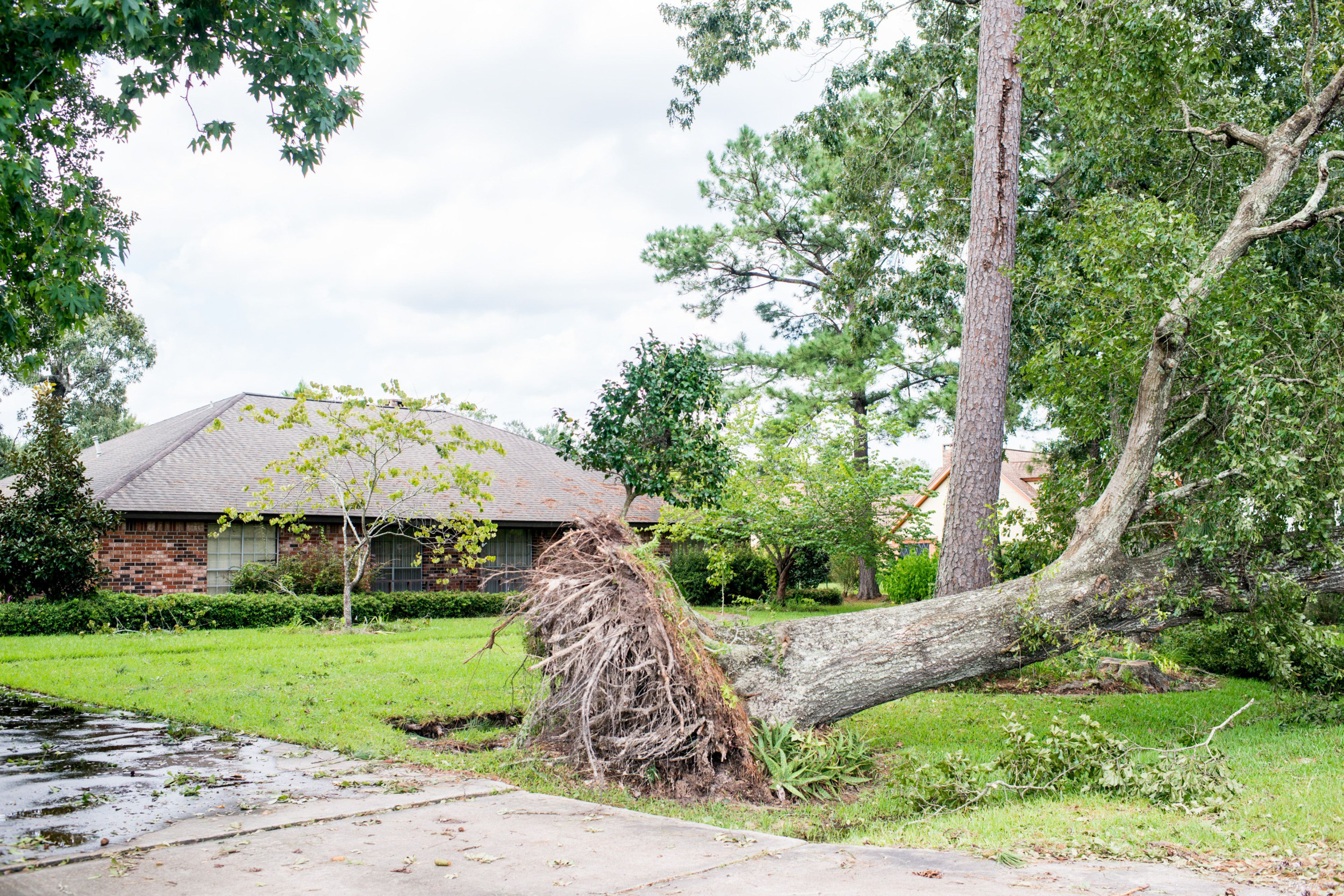 Woman Loses Home in Hurricane Beryl After 'Heartbreaking' Insurance ...