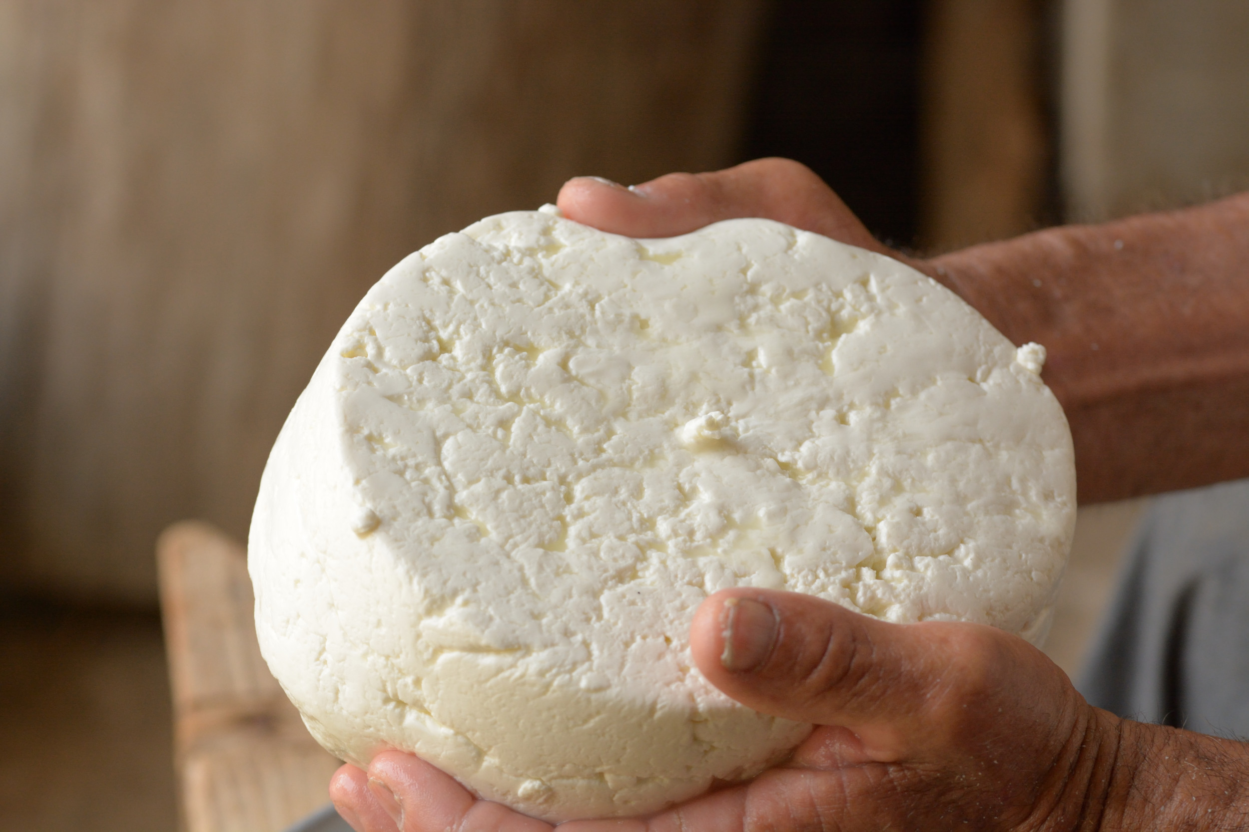 Cheese Recall Update as FDA Sets Highest Risk Level