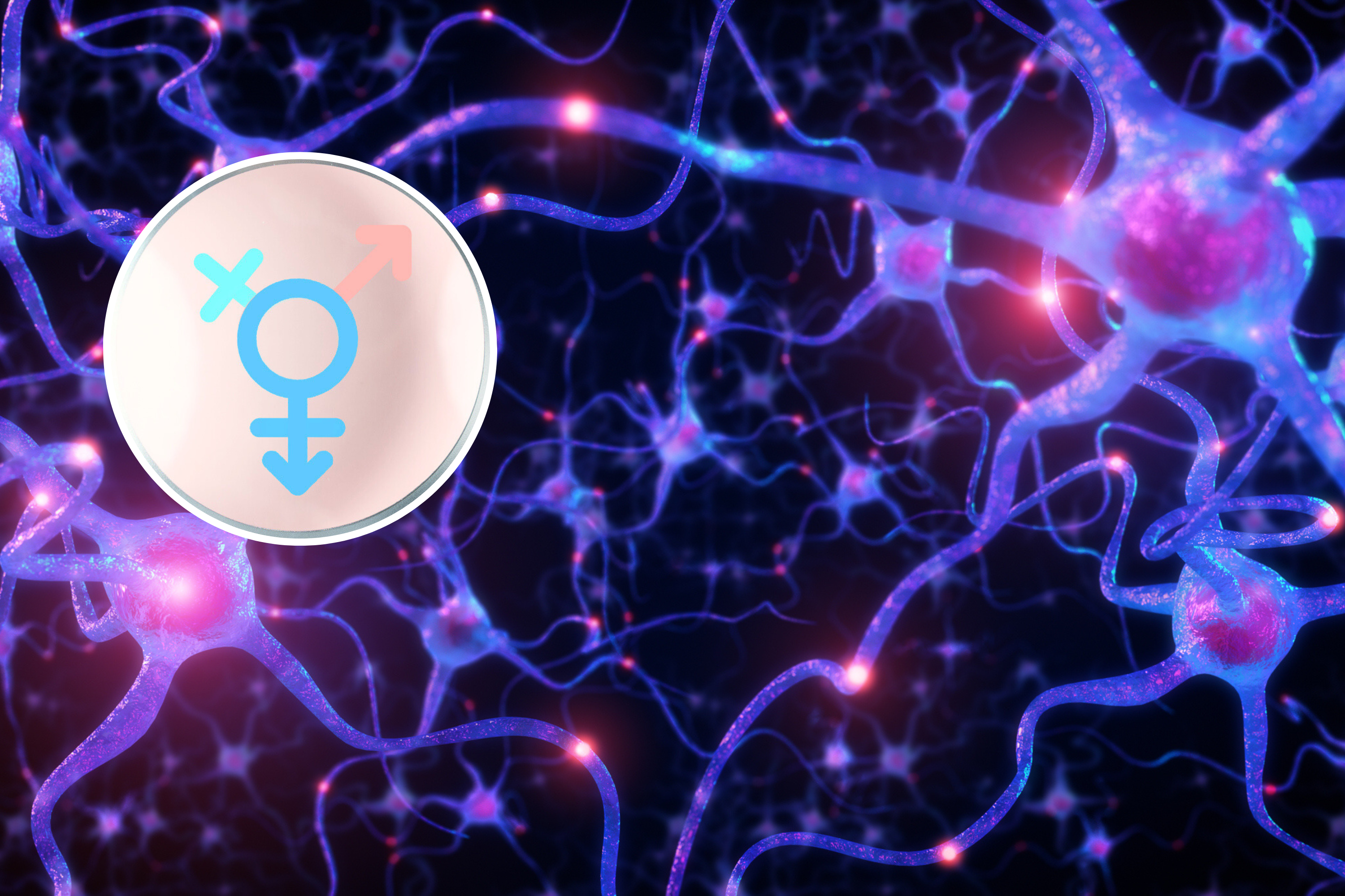 Neuroscientists Discover Distinct Brain Network Patterns for Sex and Gender in Young People