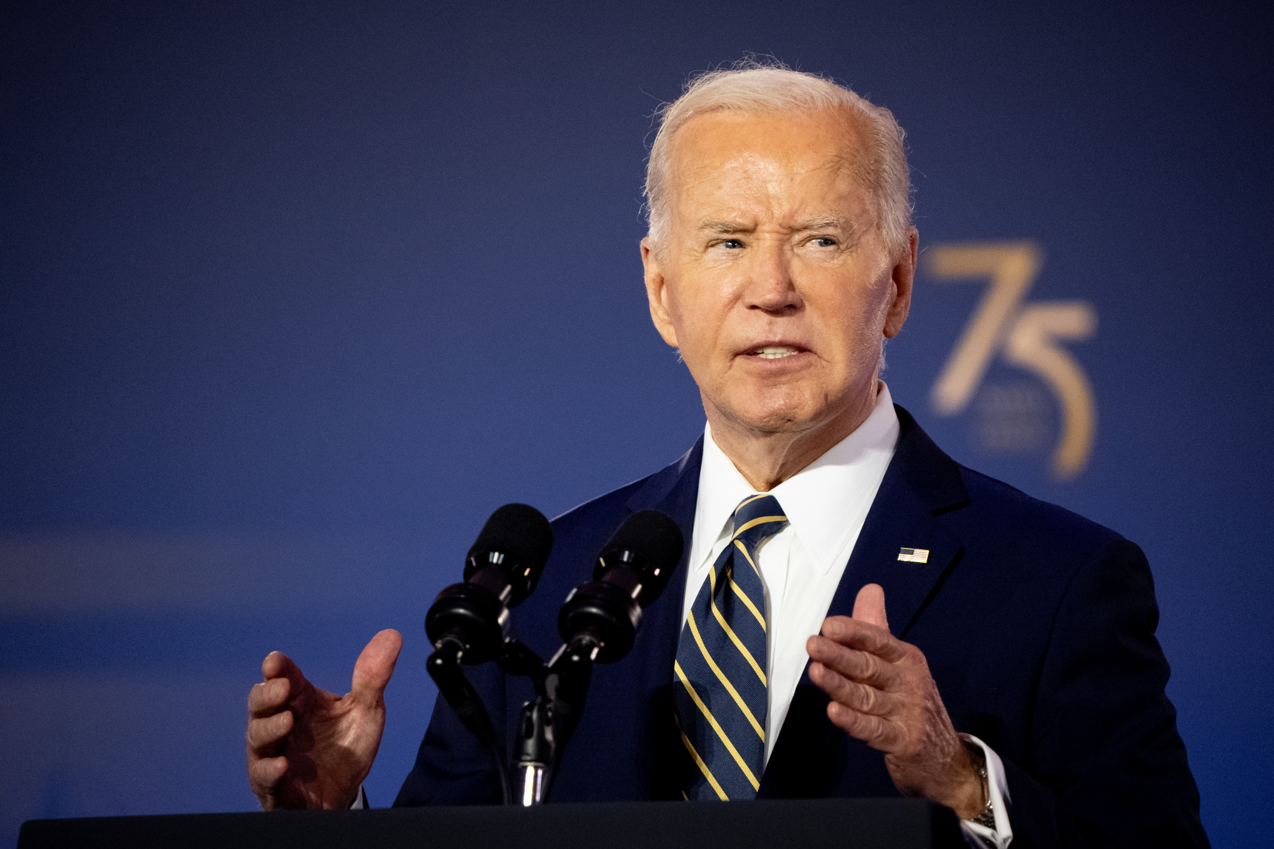 Joe Biden 2024 Presidential Campaign Gigi Persis