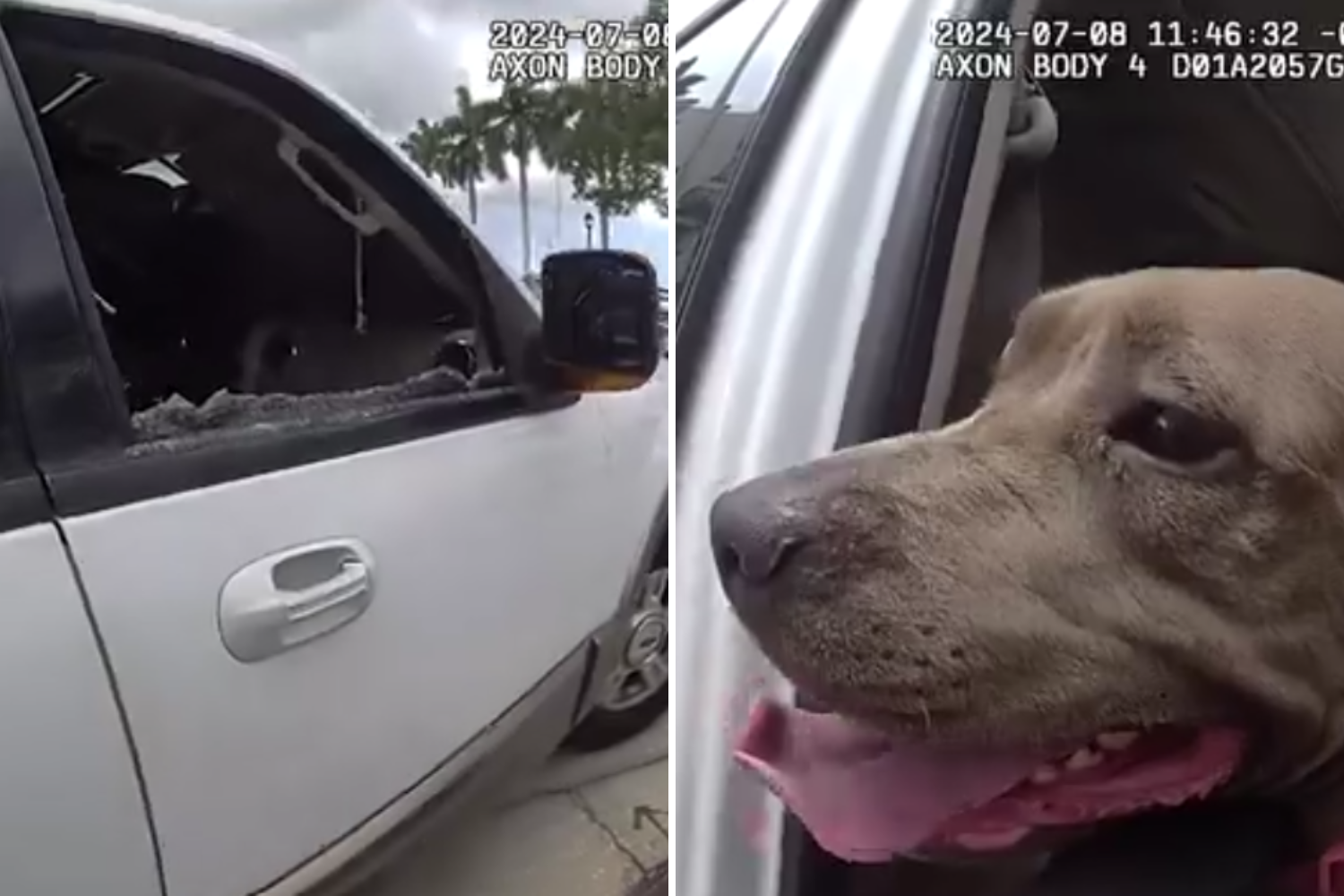 Dog Locked Inside Locked Car 'Crying' To Be Let Out Amid 90-Degree Heat ...