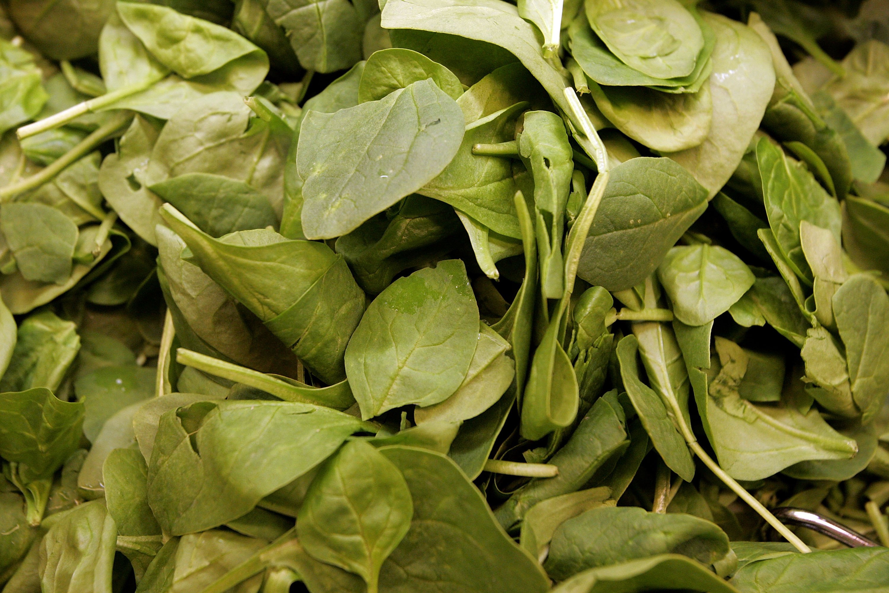 Spinach Recall Update As FDA Sets Highest Risk Level