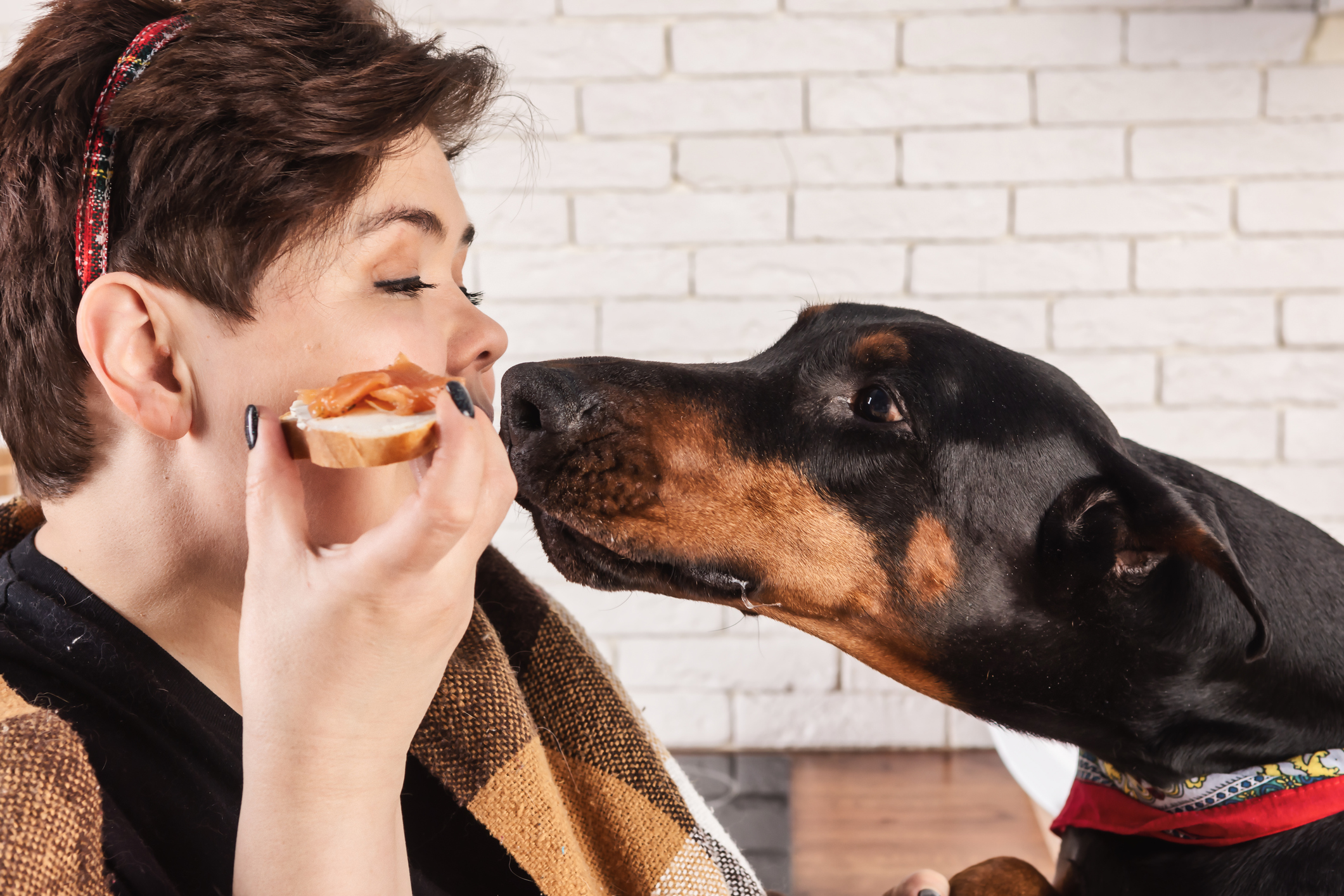 Dog Fights Intrusive Thoughts as Owner Puts Frozen Food on Twisted Ankle