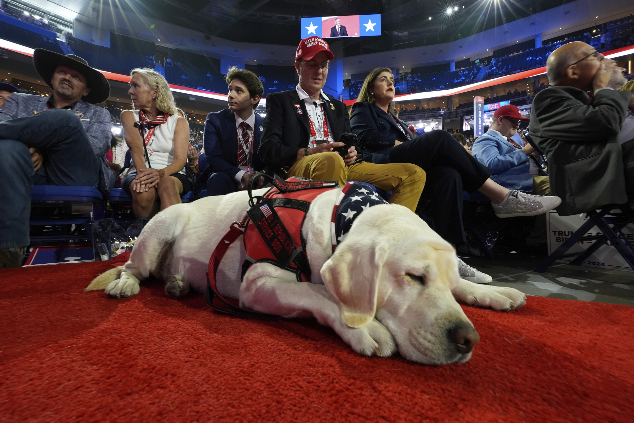 Service Dog RNC