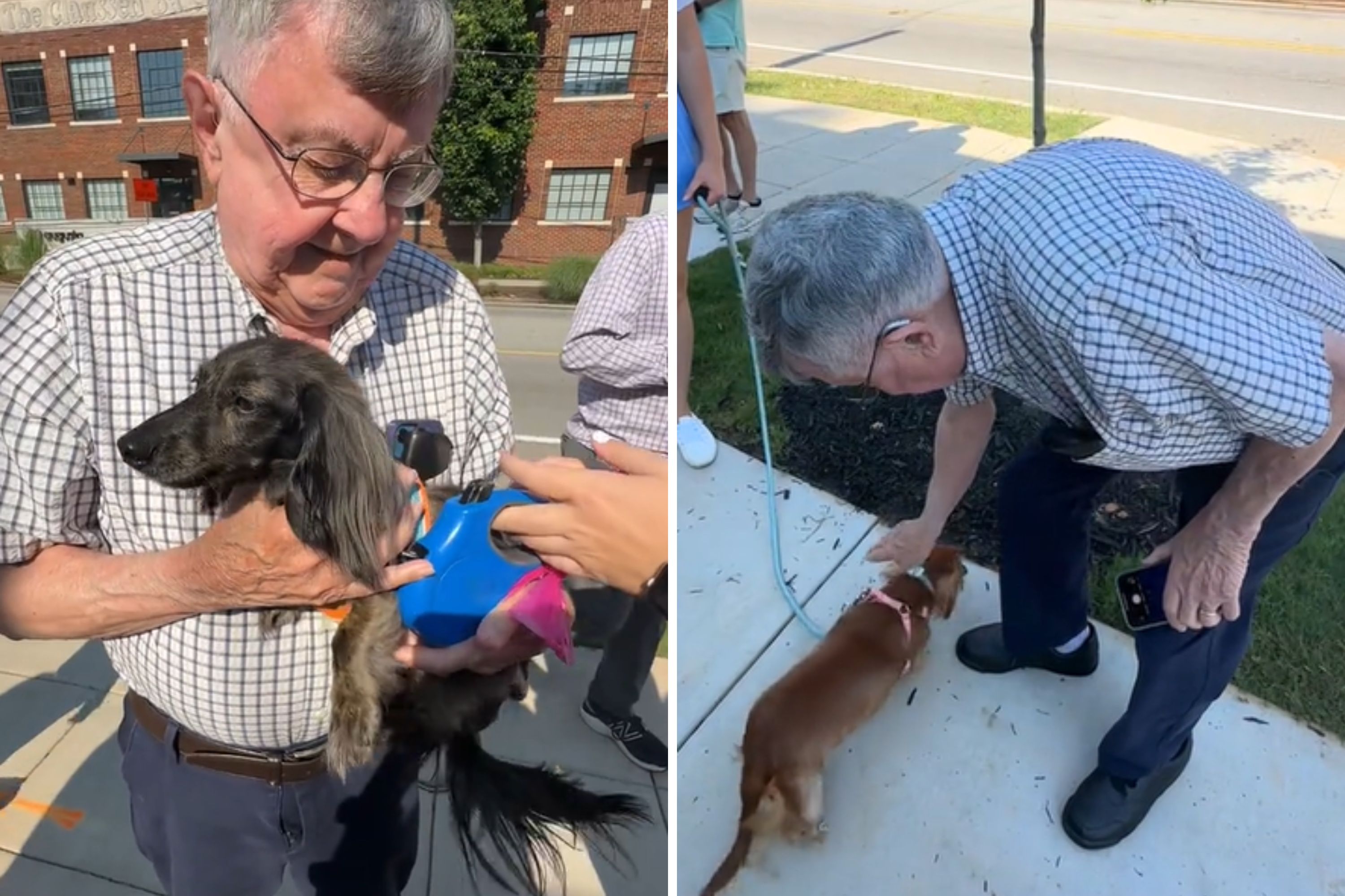 Woman Takes Grandpa to Special Dachshund Meet-Up&mdash;His Reaction Is Everything