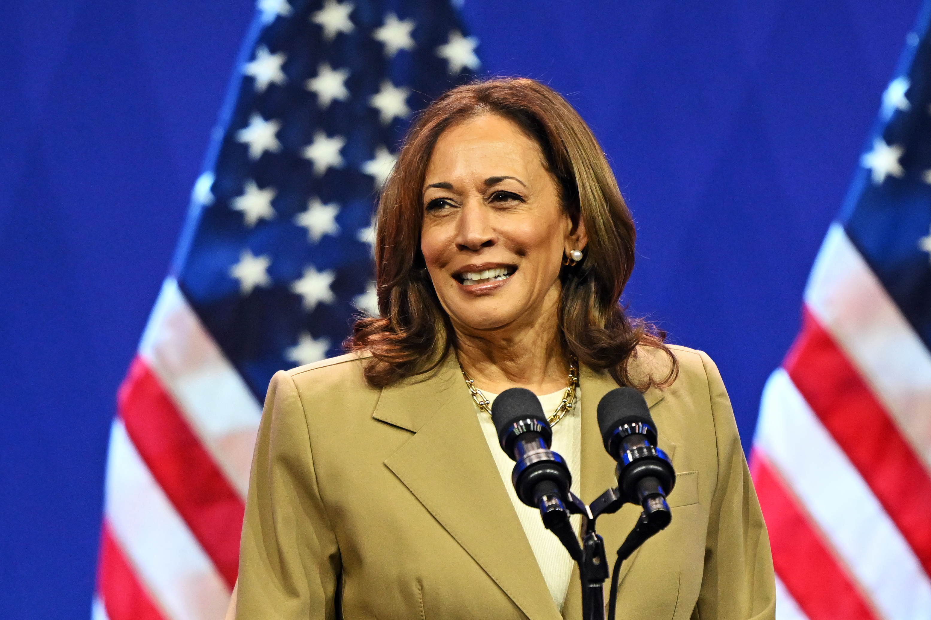 Kamala Harris’ Potential Vice President Picks: Top 5 Candidates