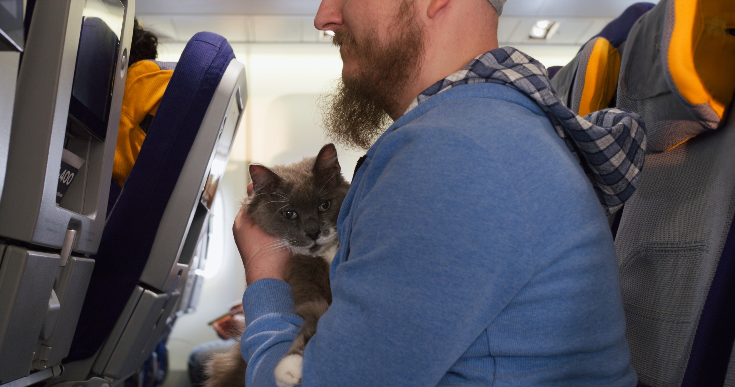 Passenger brings cats to airport, the security gate experience is priceless