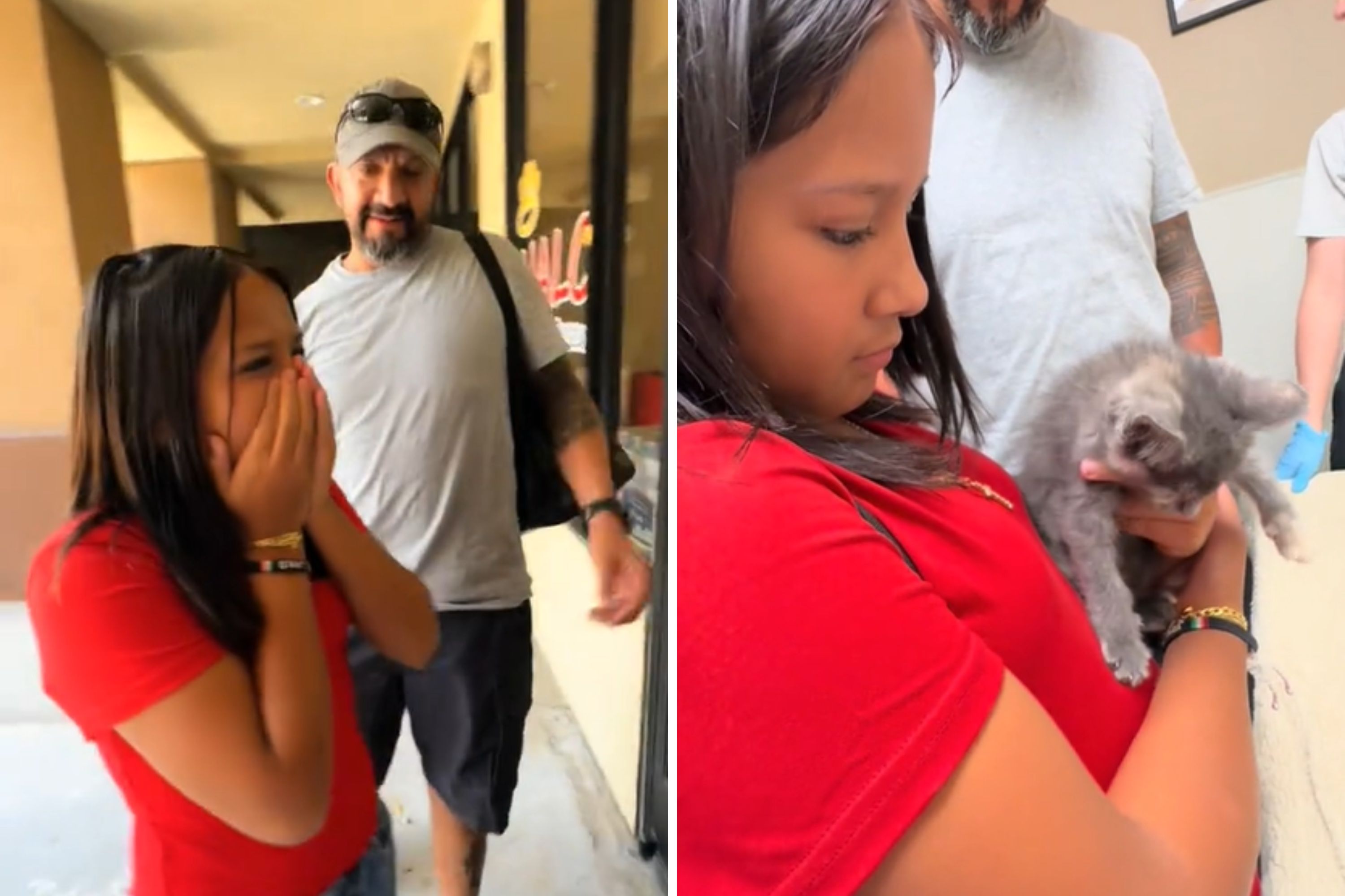 Adorable Reaction of Young Girl as Parents Relent and Allow Her to Adopt a Cat