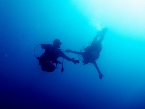 2.21_FE0108_Scuba_03 2.21_FE0108_Scuba_03