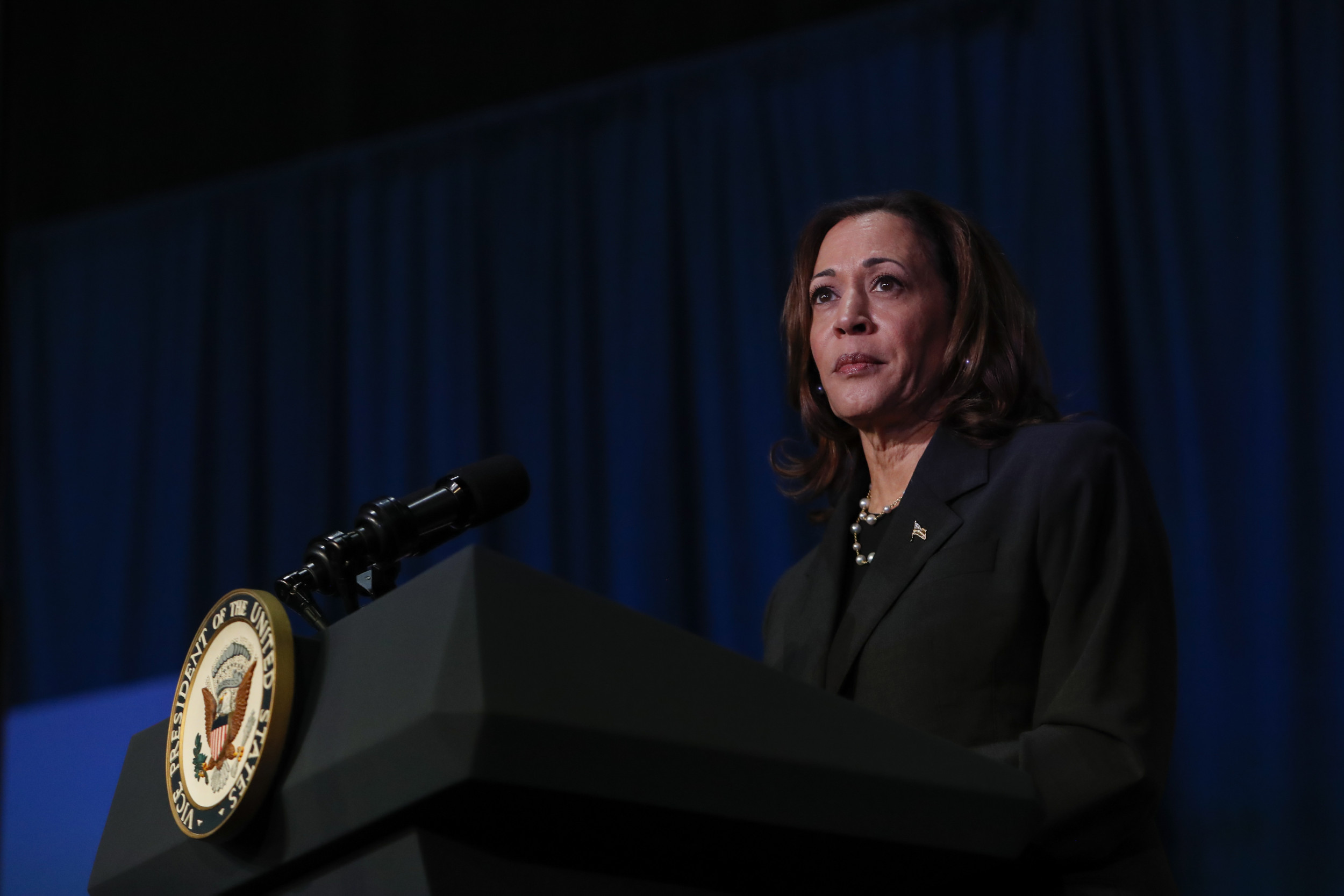 Kamala Harris' Reported 'Urgent' Meeting with Donors What We Know