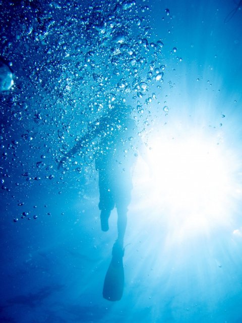 2.21_FE0108_Scuba_01 2.21_FE0108_Scuba_01