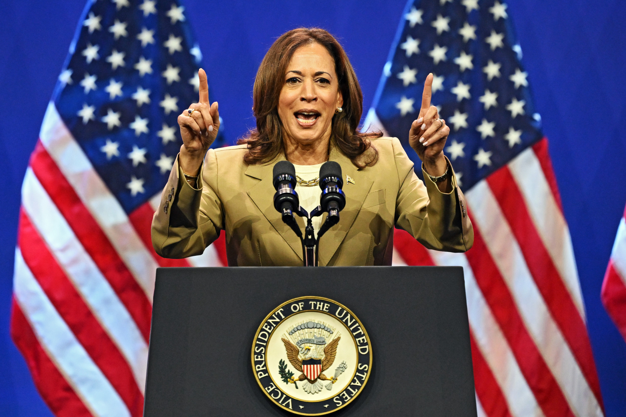 Democrats Rally Behind Kamala Harris as Biden Steps Down