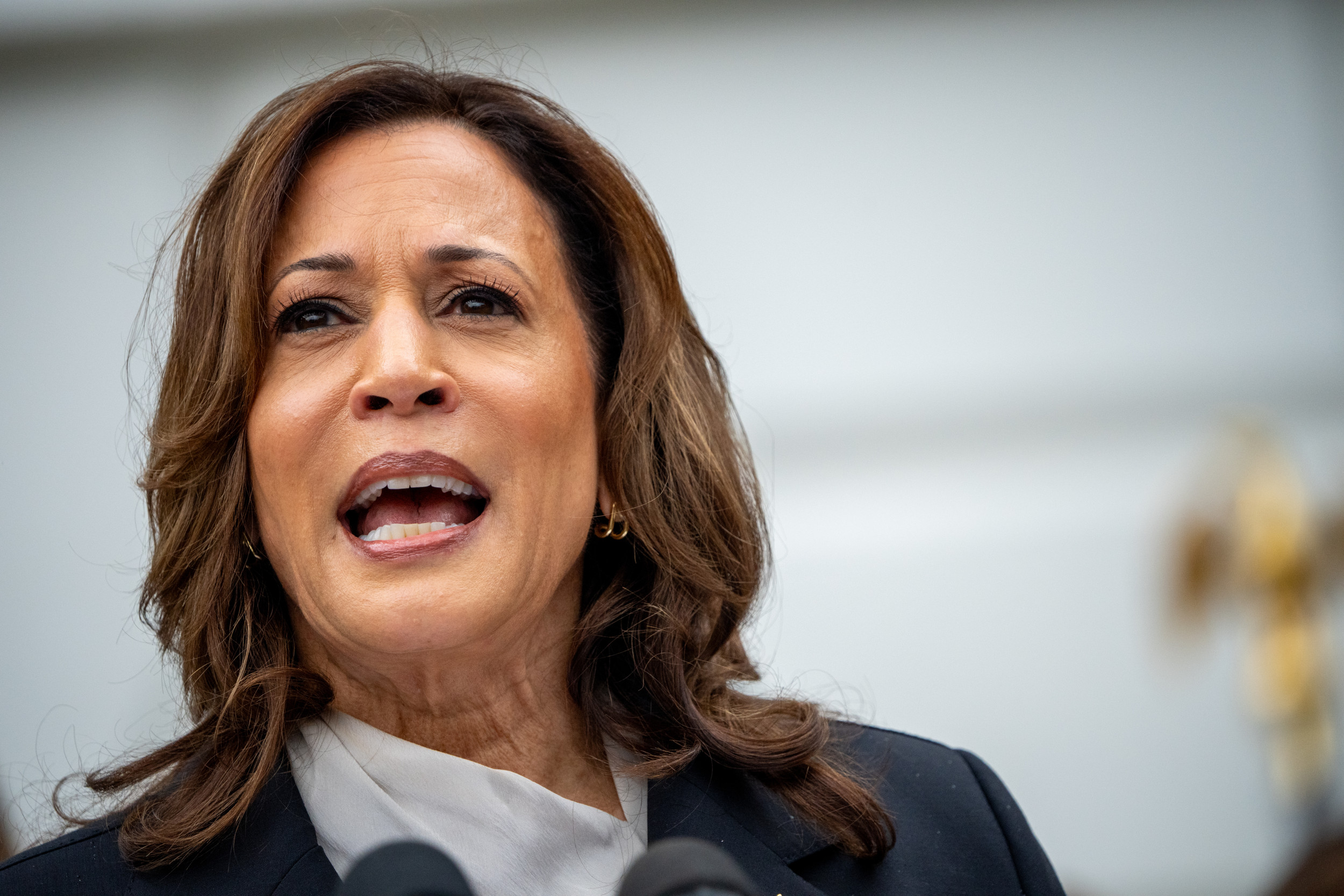 Fact Check: Kamala Harris Deep Fake Spreads After Biden Drops Out ...