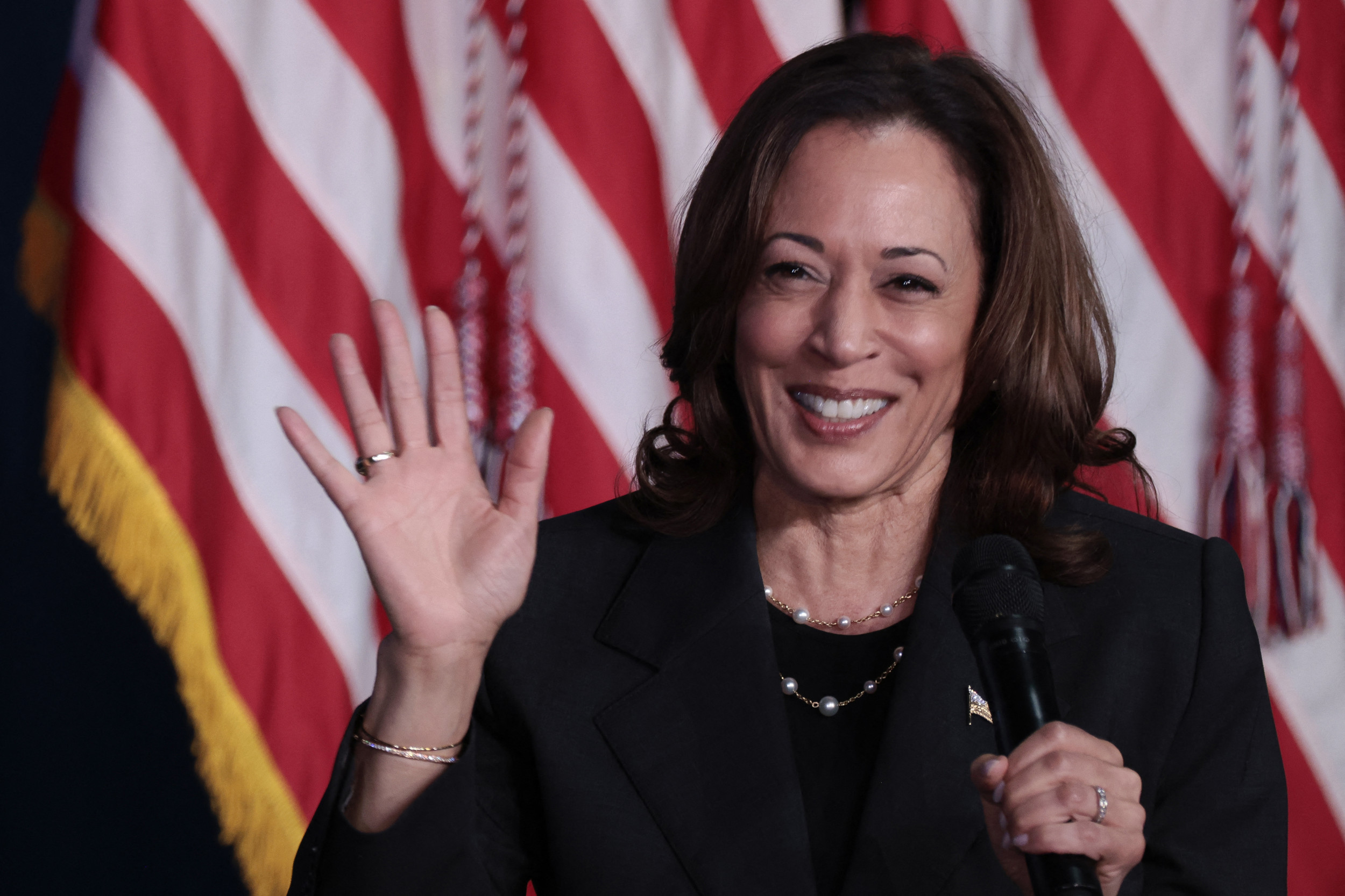 Kamala Harris' Running Mate Selection Narrows: Report - Newsweek