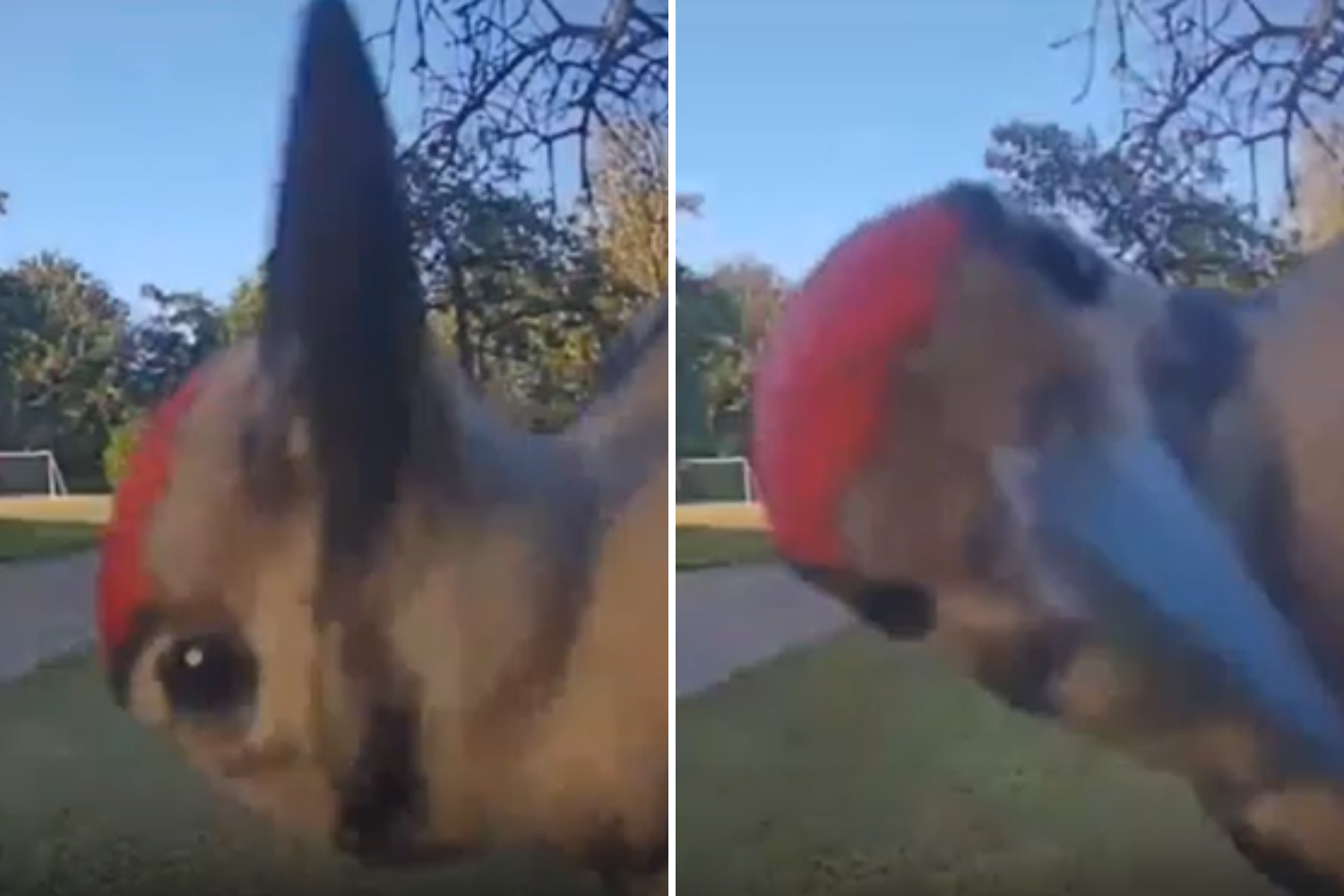 Family Check Doorbell Cam After Notification&mdash;Not Prepared for What They See