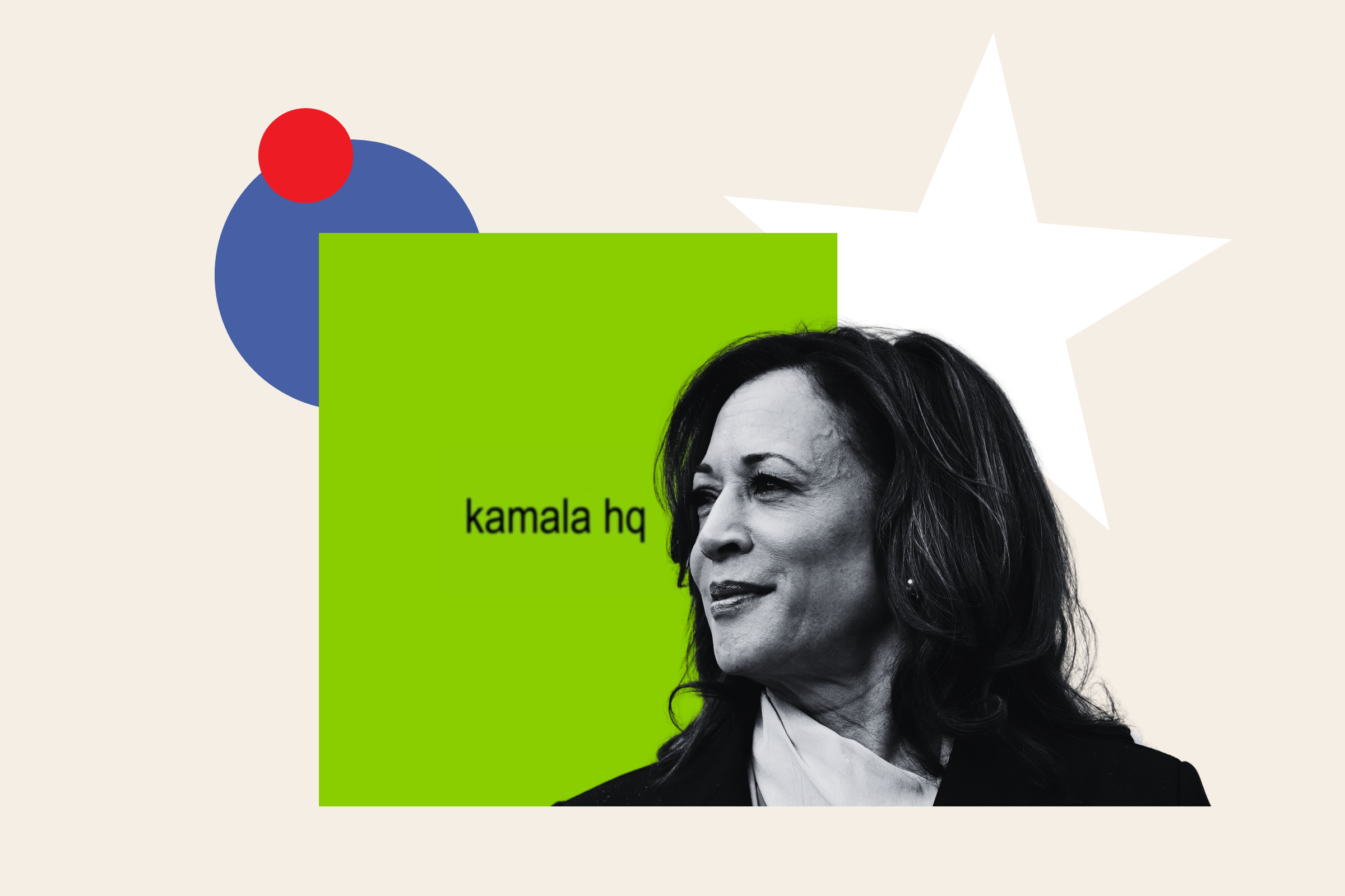 is-kamala-harris-really-brat-gen-z-weighs-in-newsweek